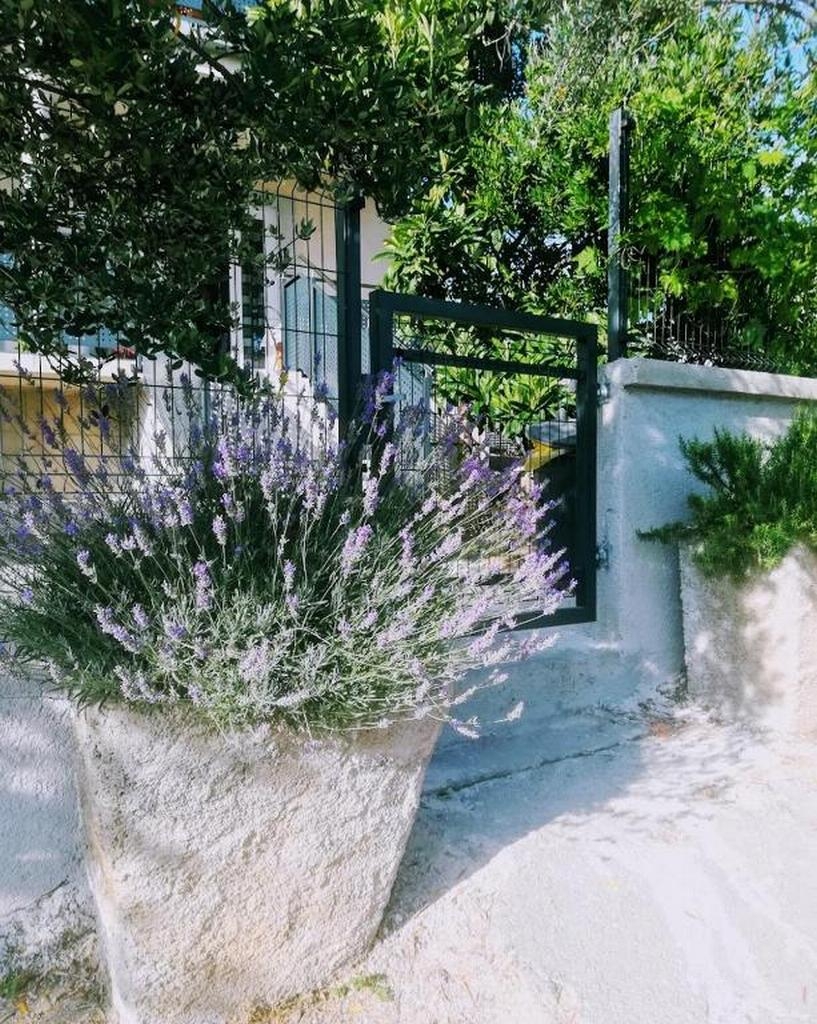 Top Biograd Pakoštane Top Biograd Pakoštane