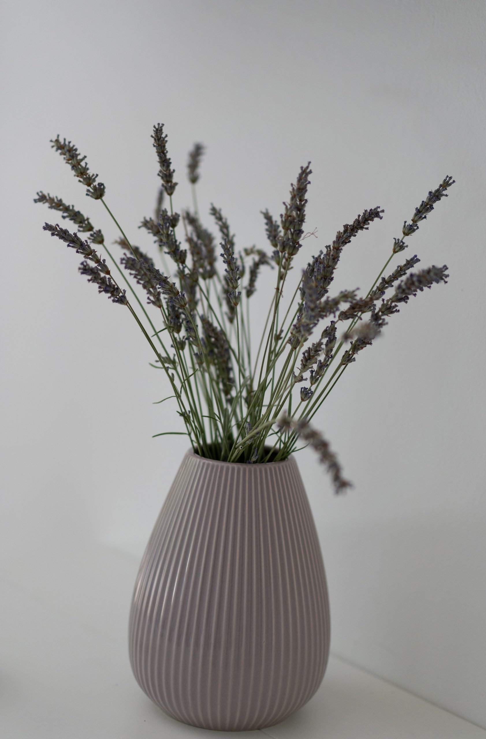 Top Biograd Pakoštane Top Biograd Pakoštane