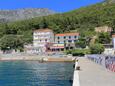 Apartments Drvenik Donja vala (Makarska) - 19006