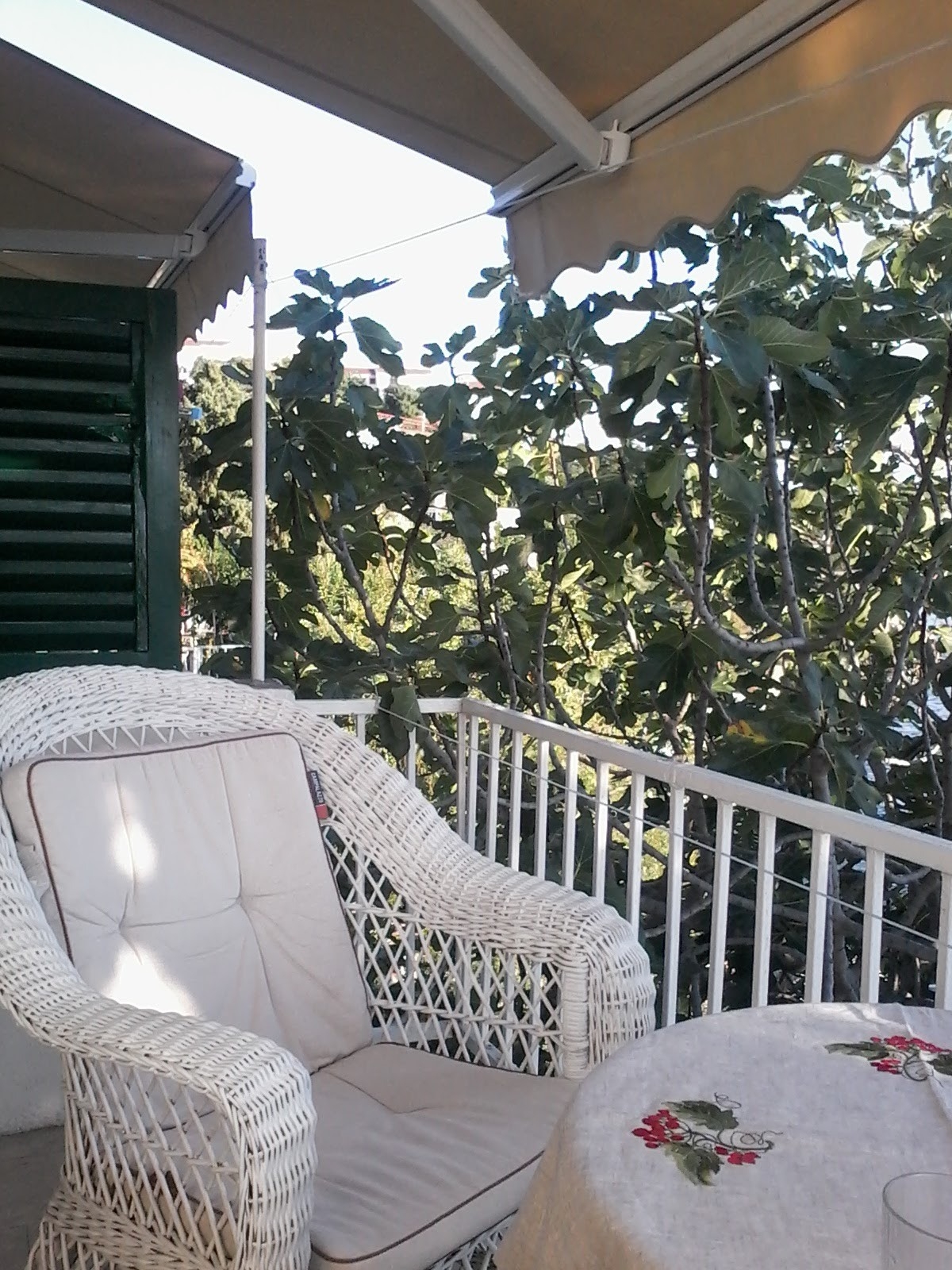 Top Makarska Podaca Top Makarska Podaca