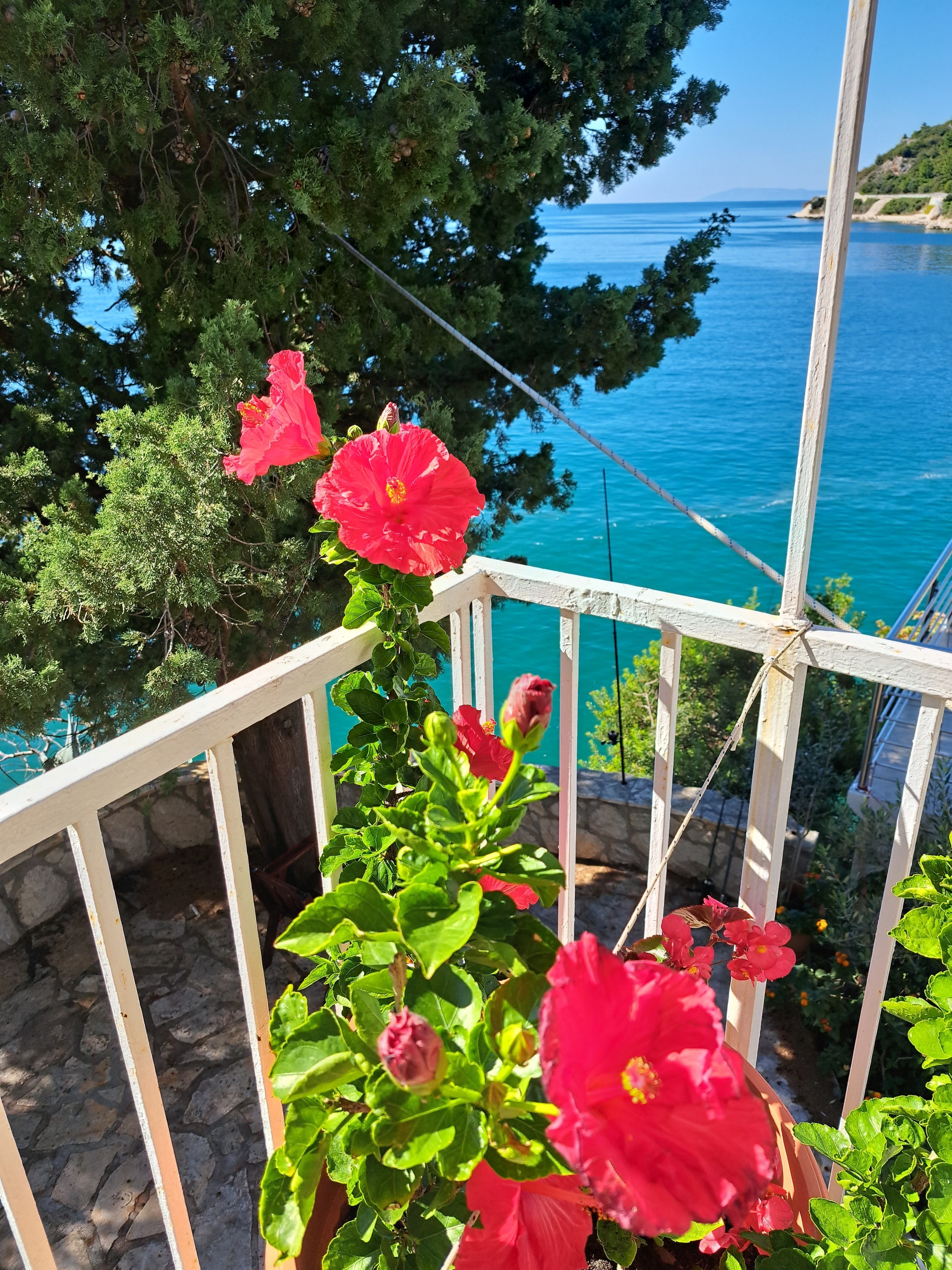 Top Makarska Podaca Top Makarska Podaca