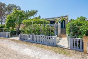 Apartments by the sea Vir - Kozjak, Vir - 19094