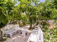 Slano, Dubrovnik, Giardino 19167 - Appartamenti affitto vicino al mare con la spiaggia ghiaiosa.