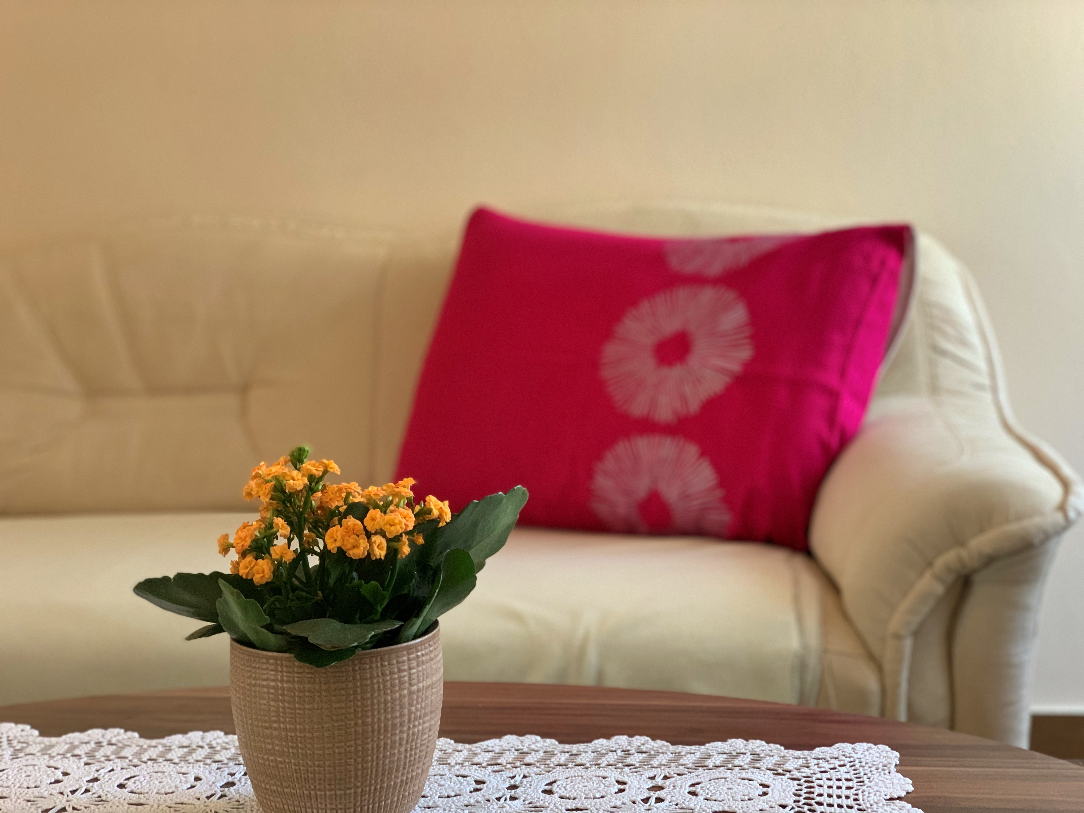 Top Krk Čižići Top Krk Čižići