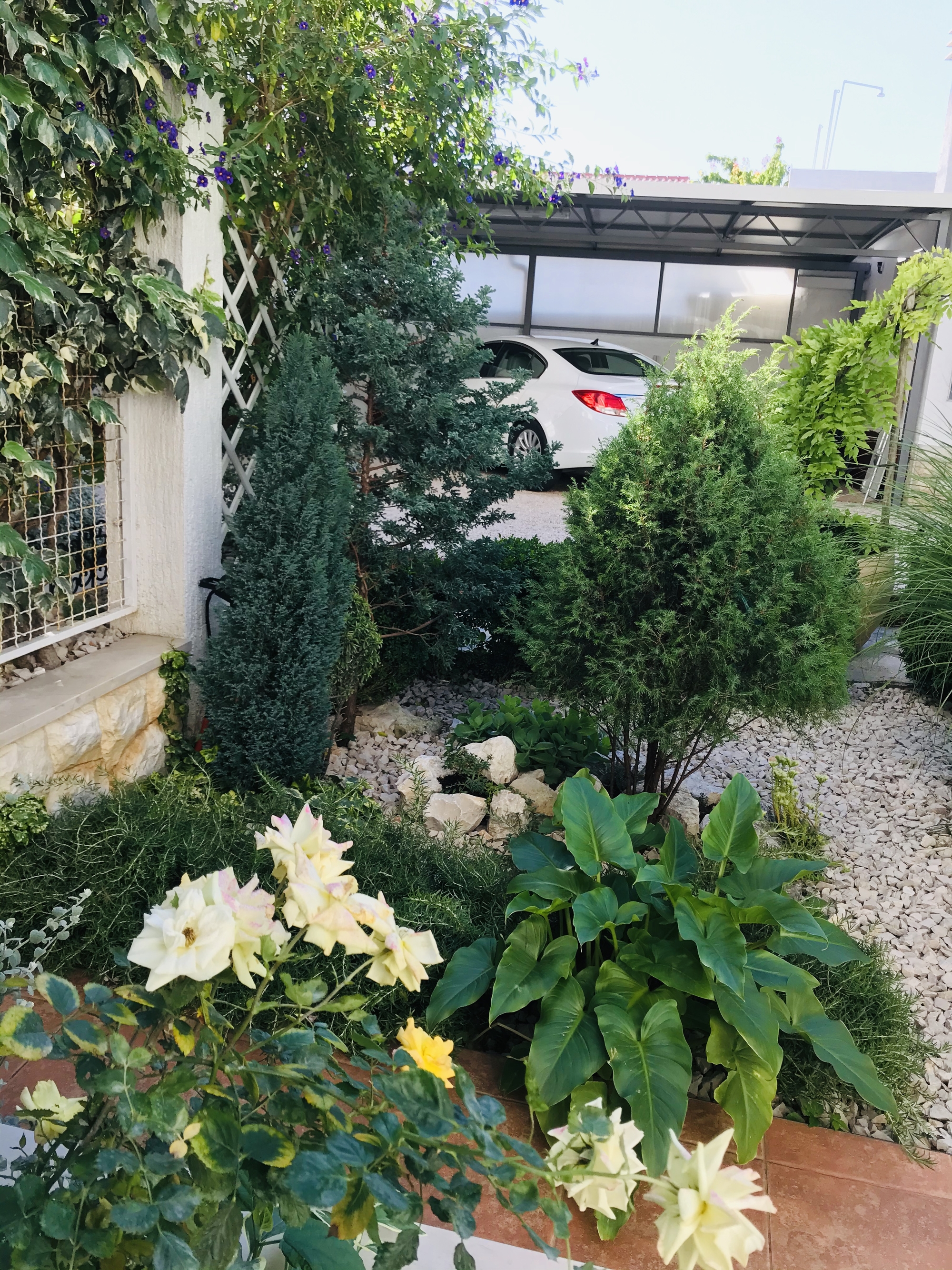 Top Primošten Top Primošten