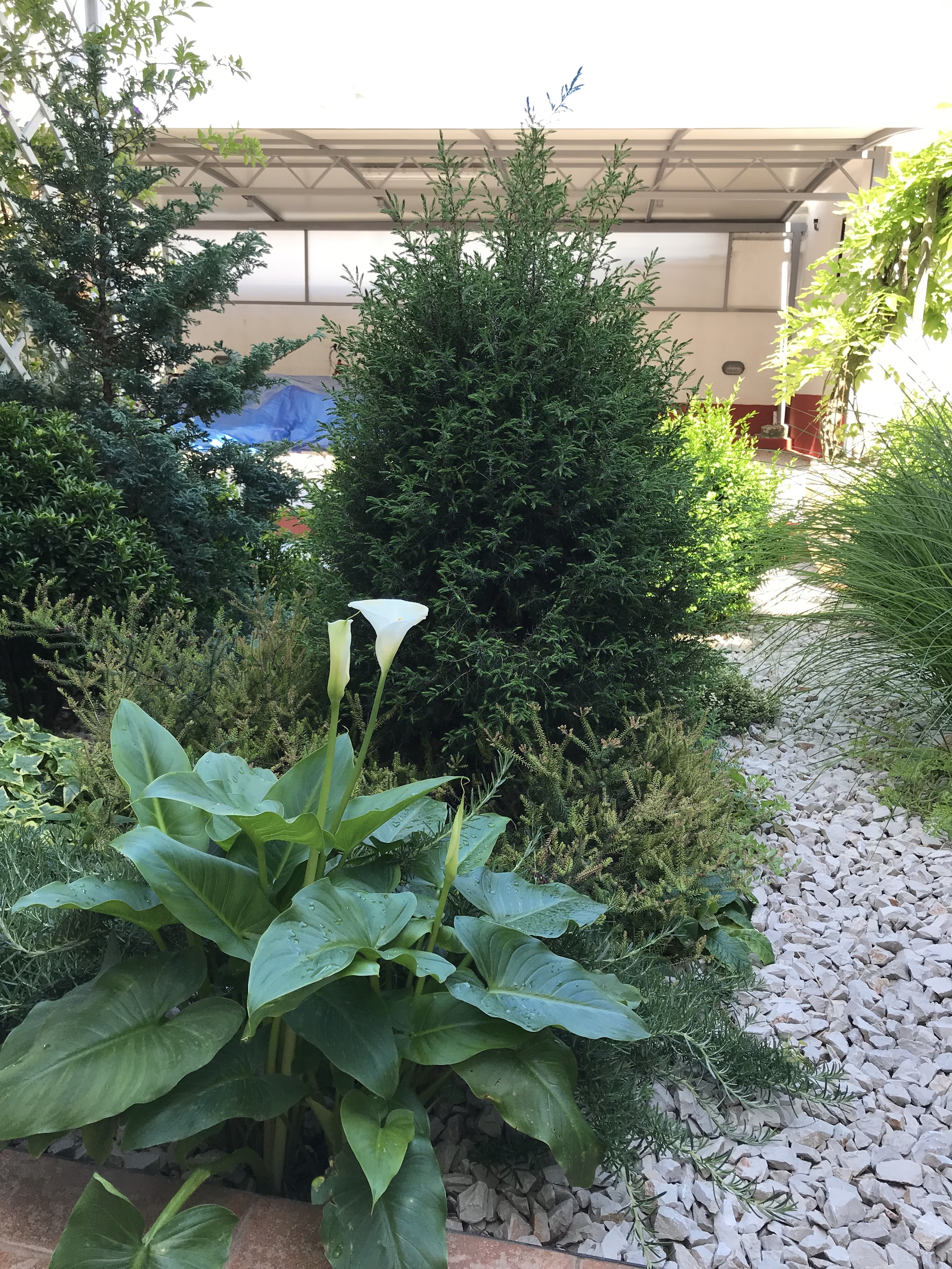 Top Primošten Top Primošten