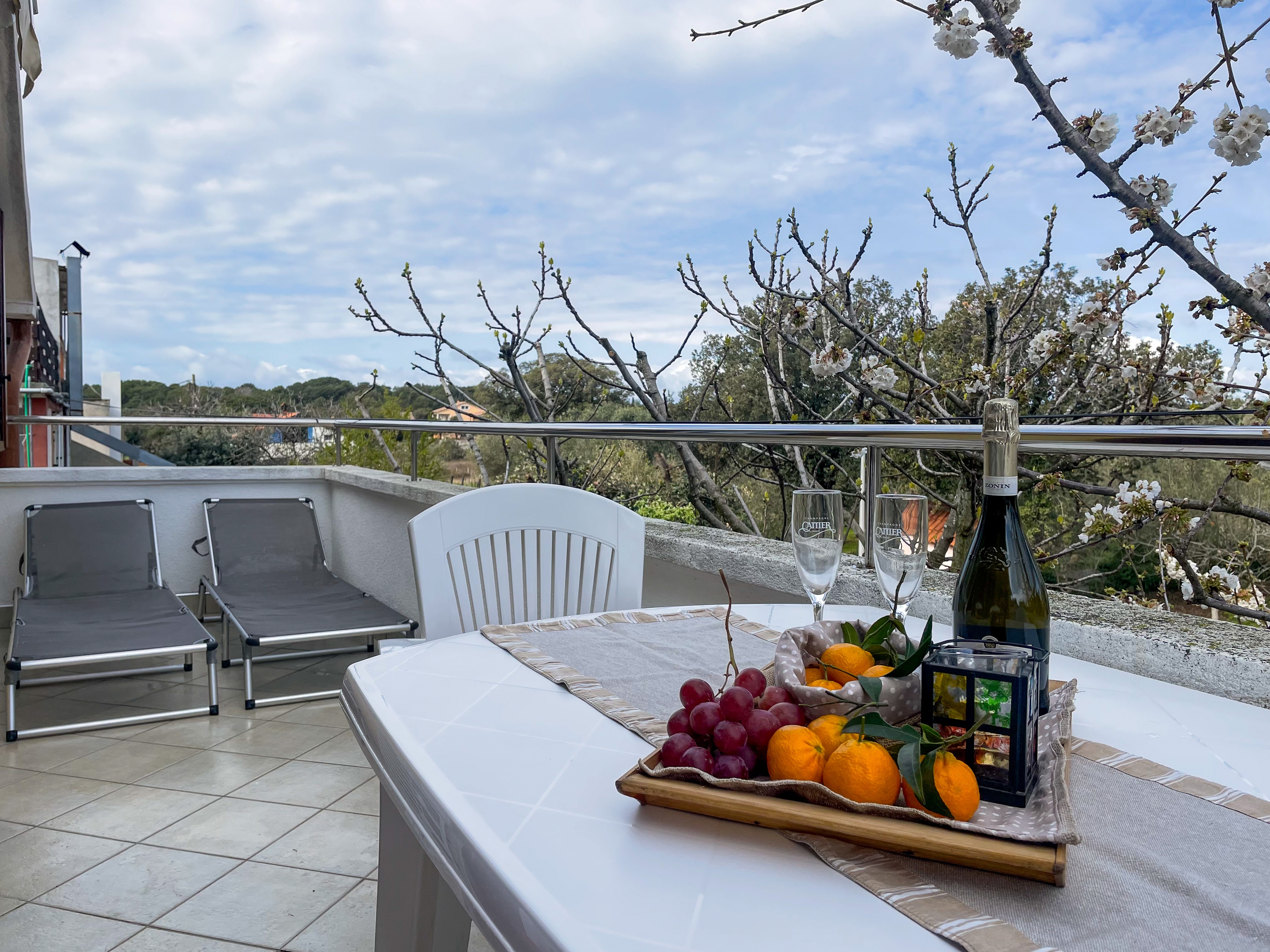 Two bedroom apartment with terrace Ugljan  A-a