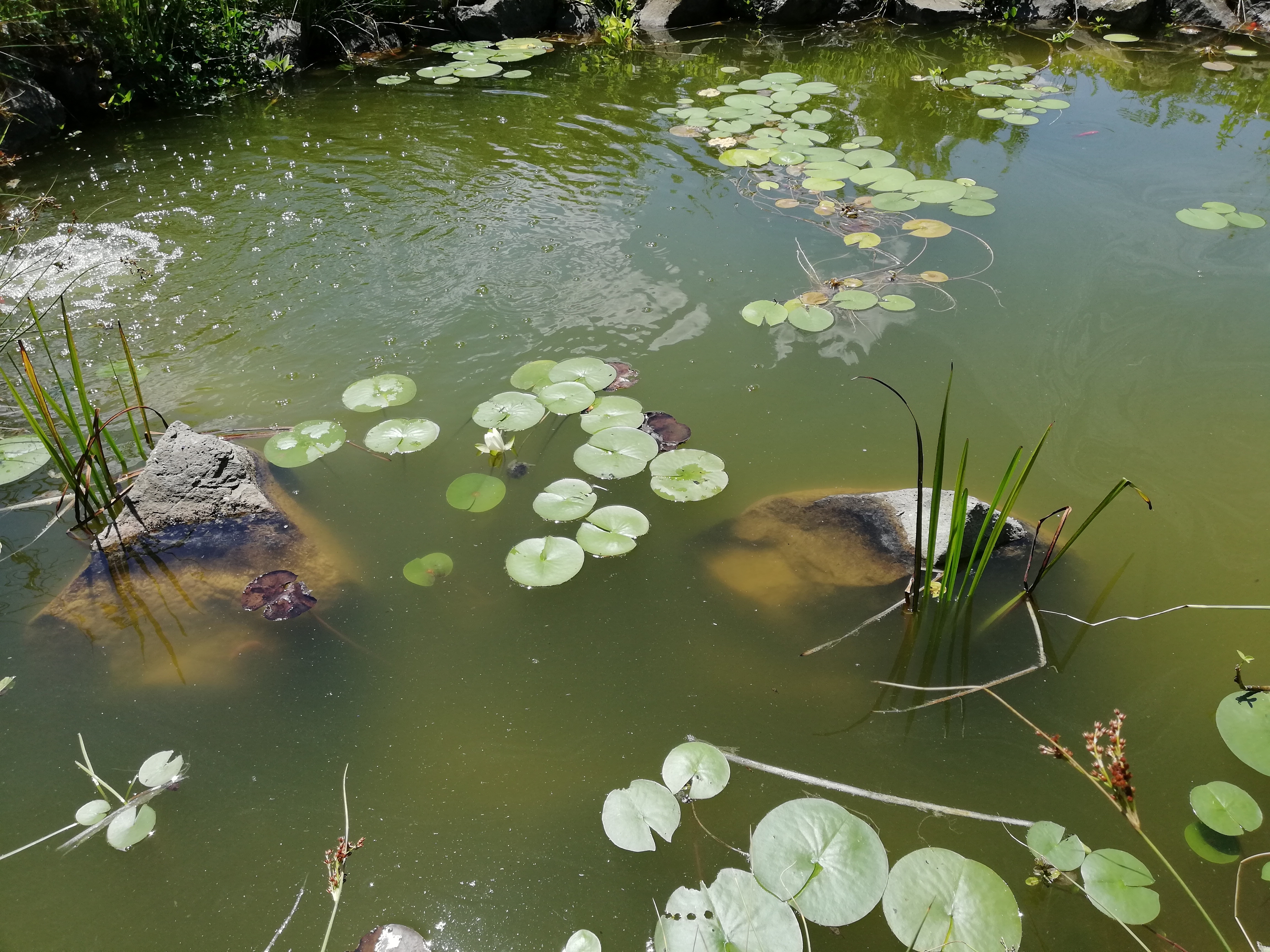 Studio apartman s klimom Osijek, Slavonija  AS-a