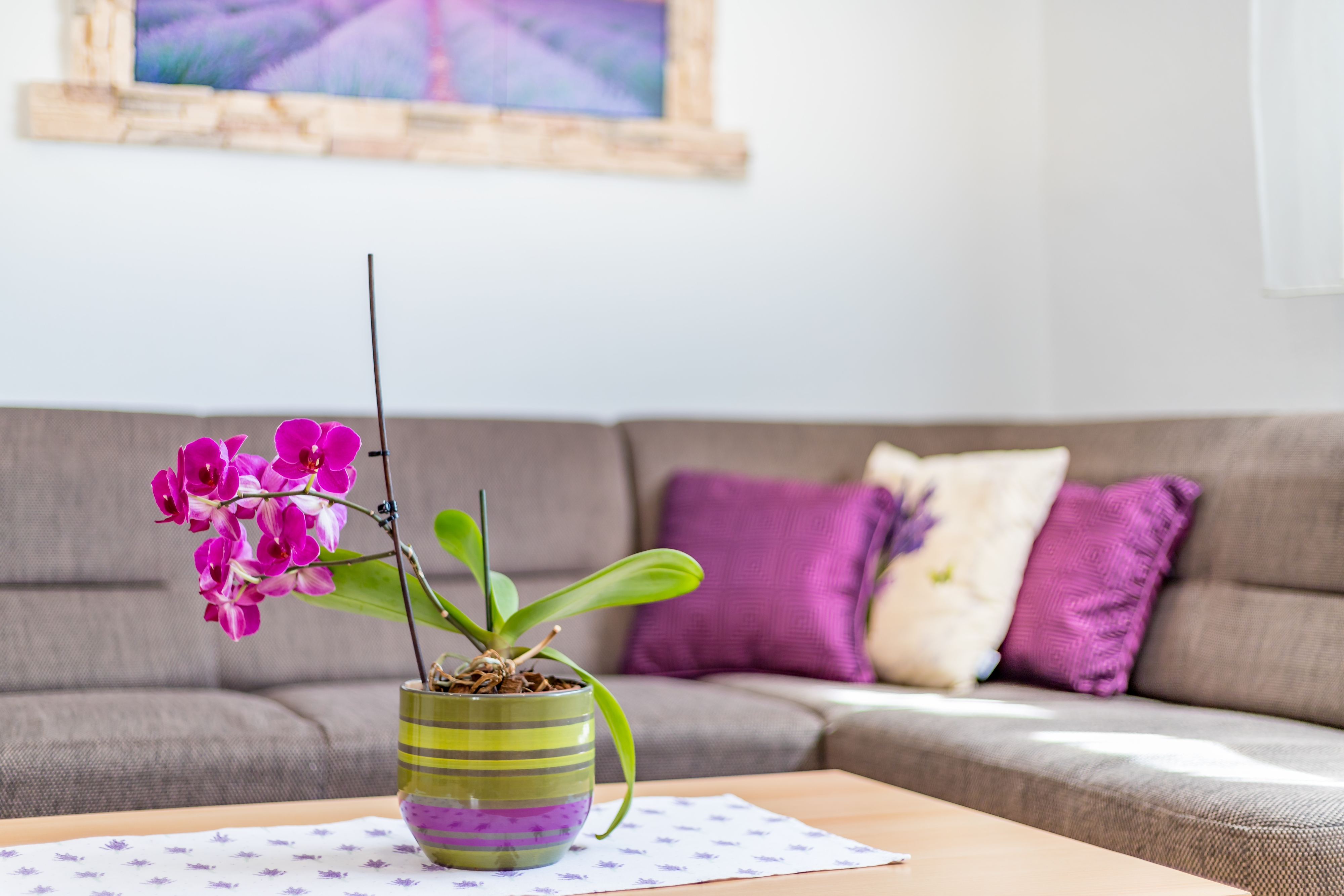 Top Krk Baška Top Krk Baška