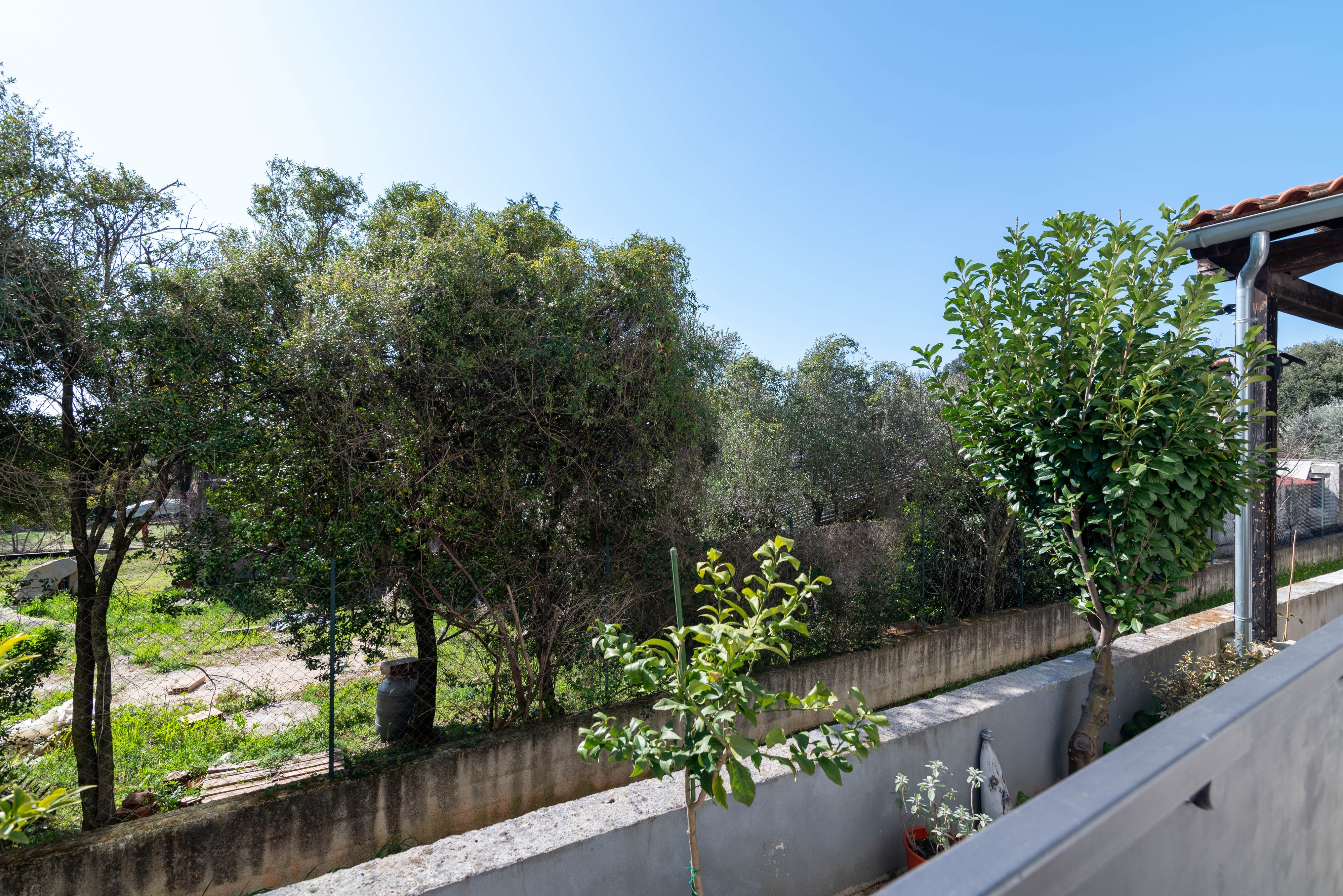 Top Rovinj Top Rovinj