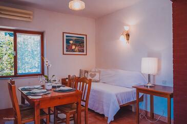 Lumbarda, Living room in the apartment, air condition available, (pet friendly) and WiFi.