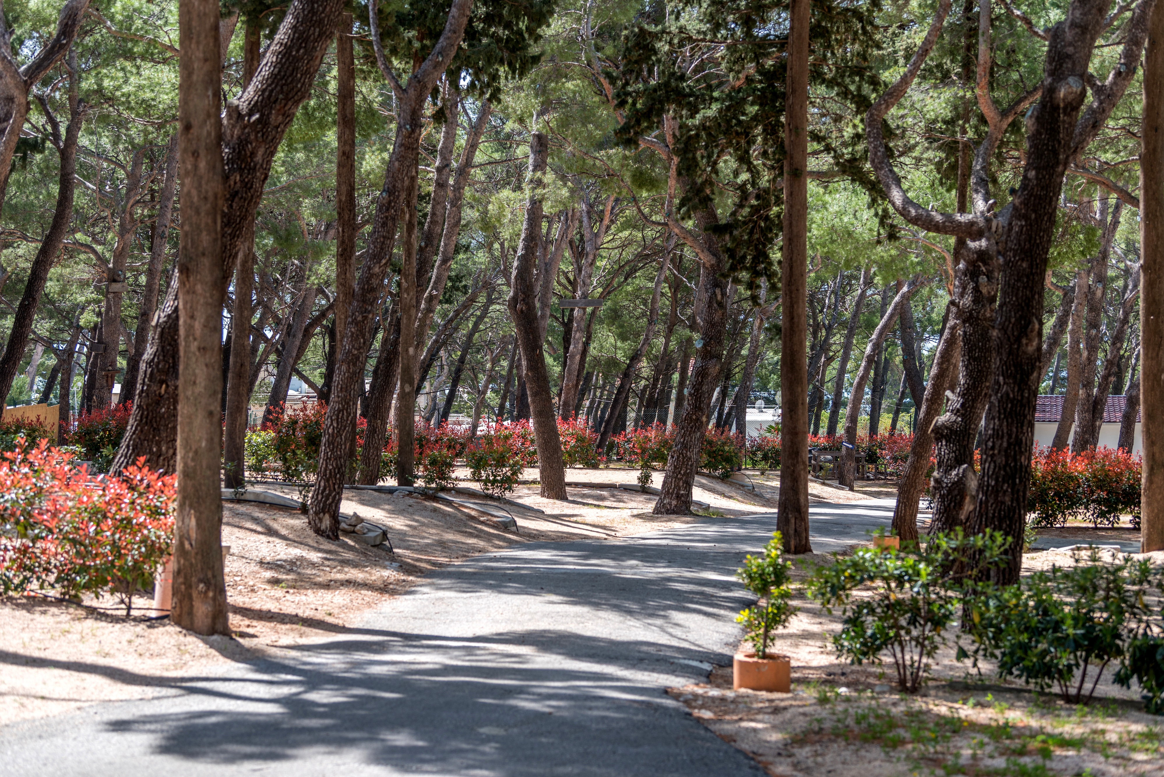 Top Makarska Top Makarska