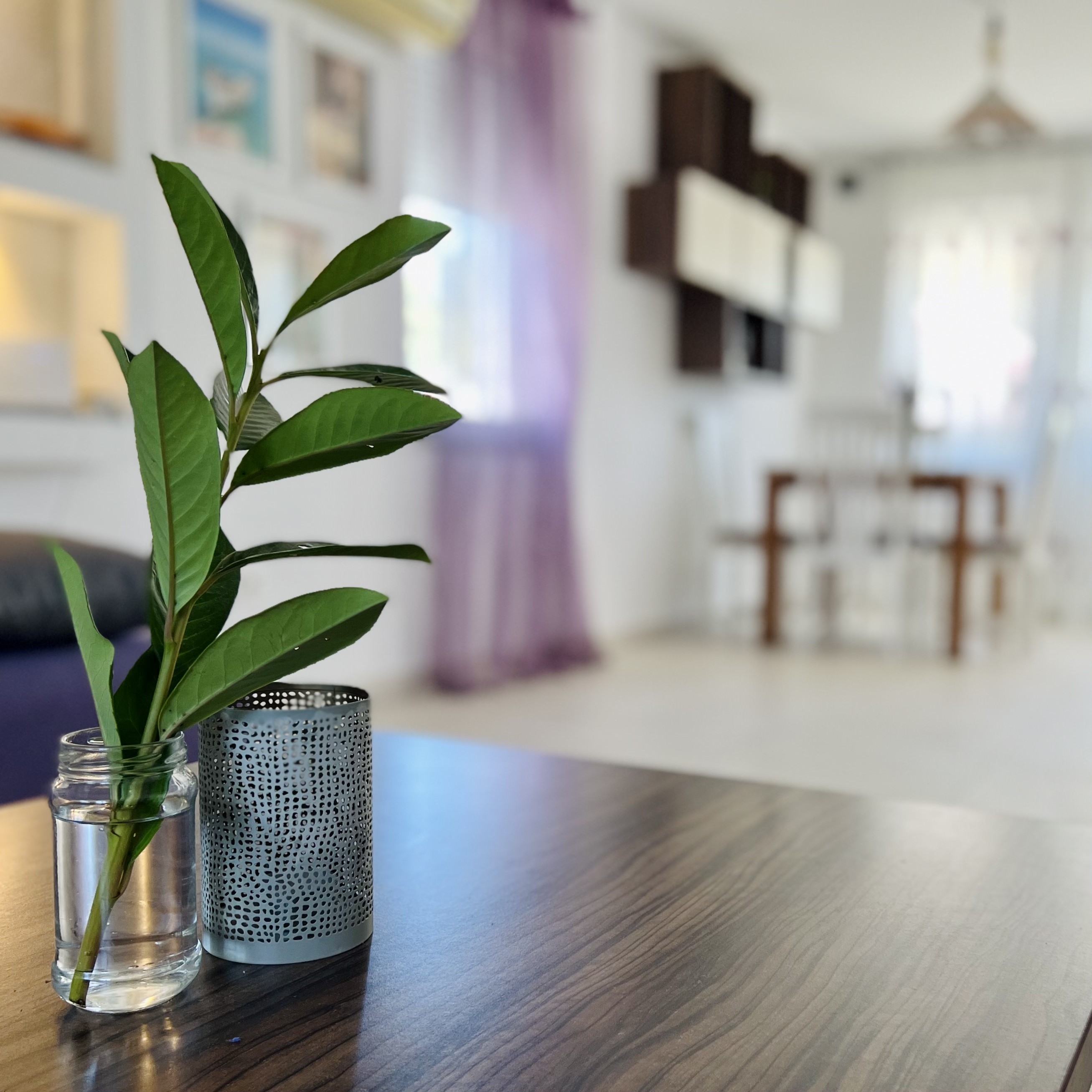 Top Pelješac Janjina Top Pelješac Janjina