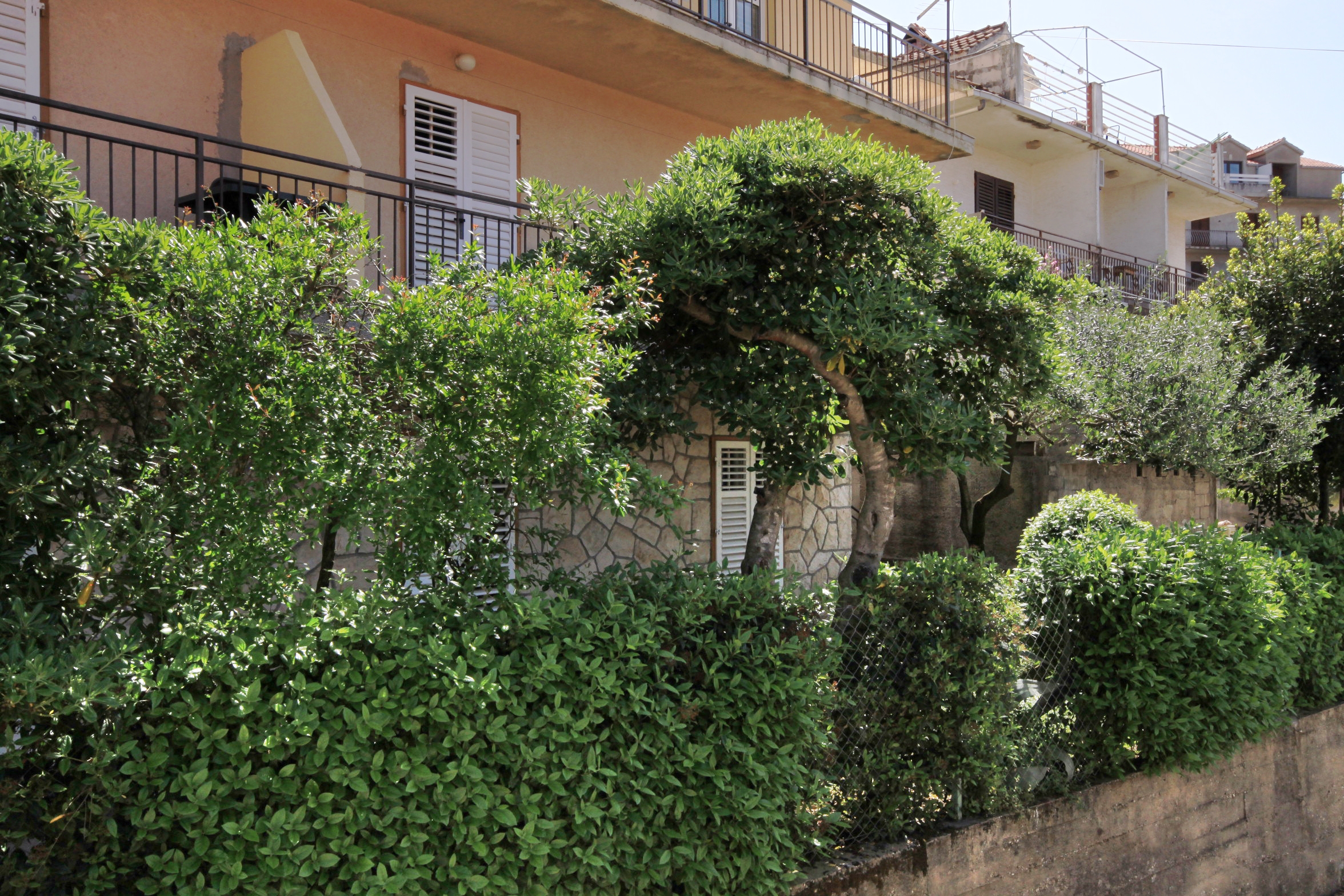 One bedroom apartment with balcony Jelsa, Hvar  A-b