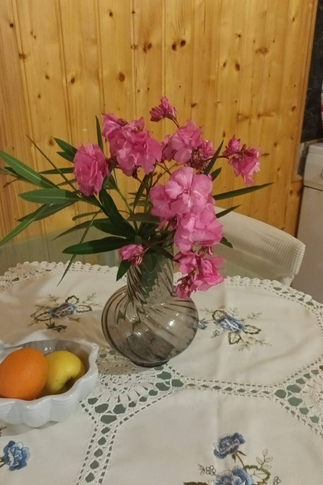 Top Korčula Babina Top Korčula Babina