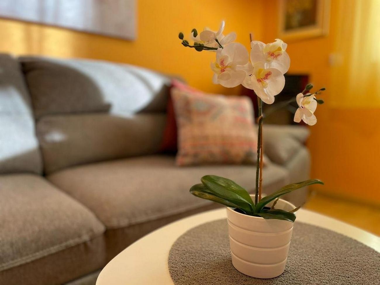 Top Zagora Gornje Planjane Top Zagora Gornje Planjane