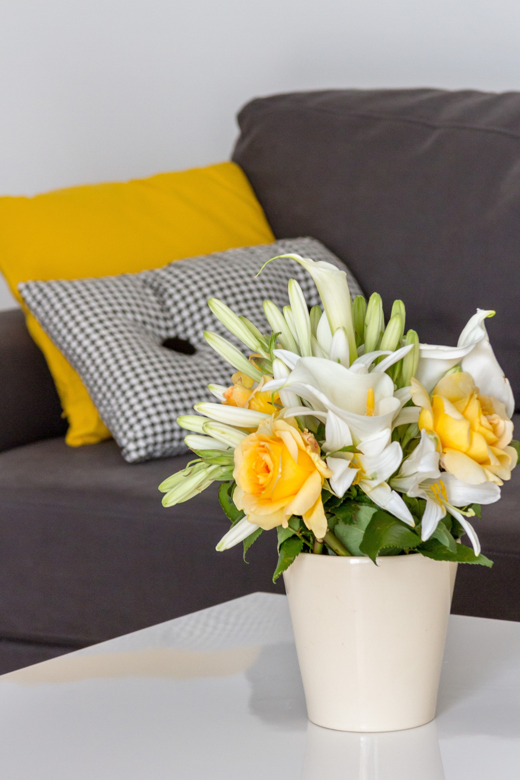 Top Kaštela Kaštel Stari Top Kaštela Kaštel Stari