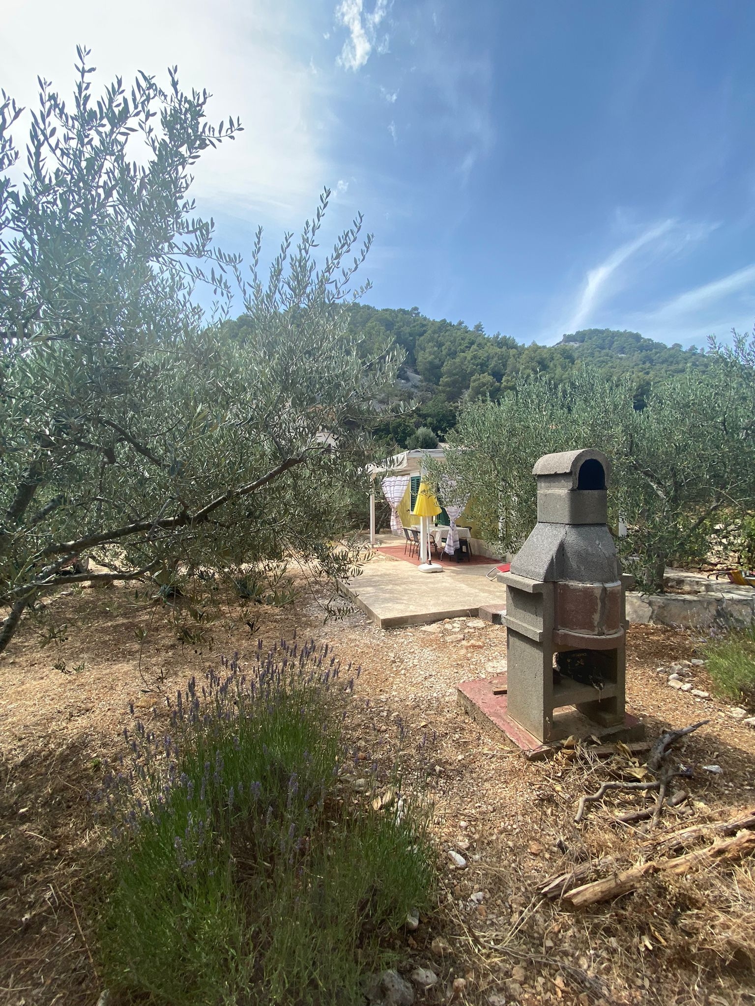 Top Hvar Skozanje Top Hvar Skozanje