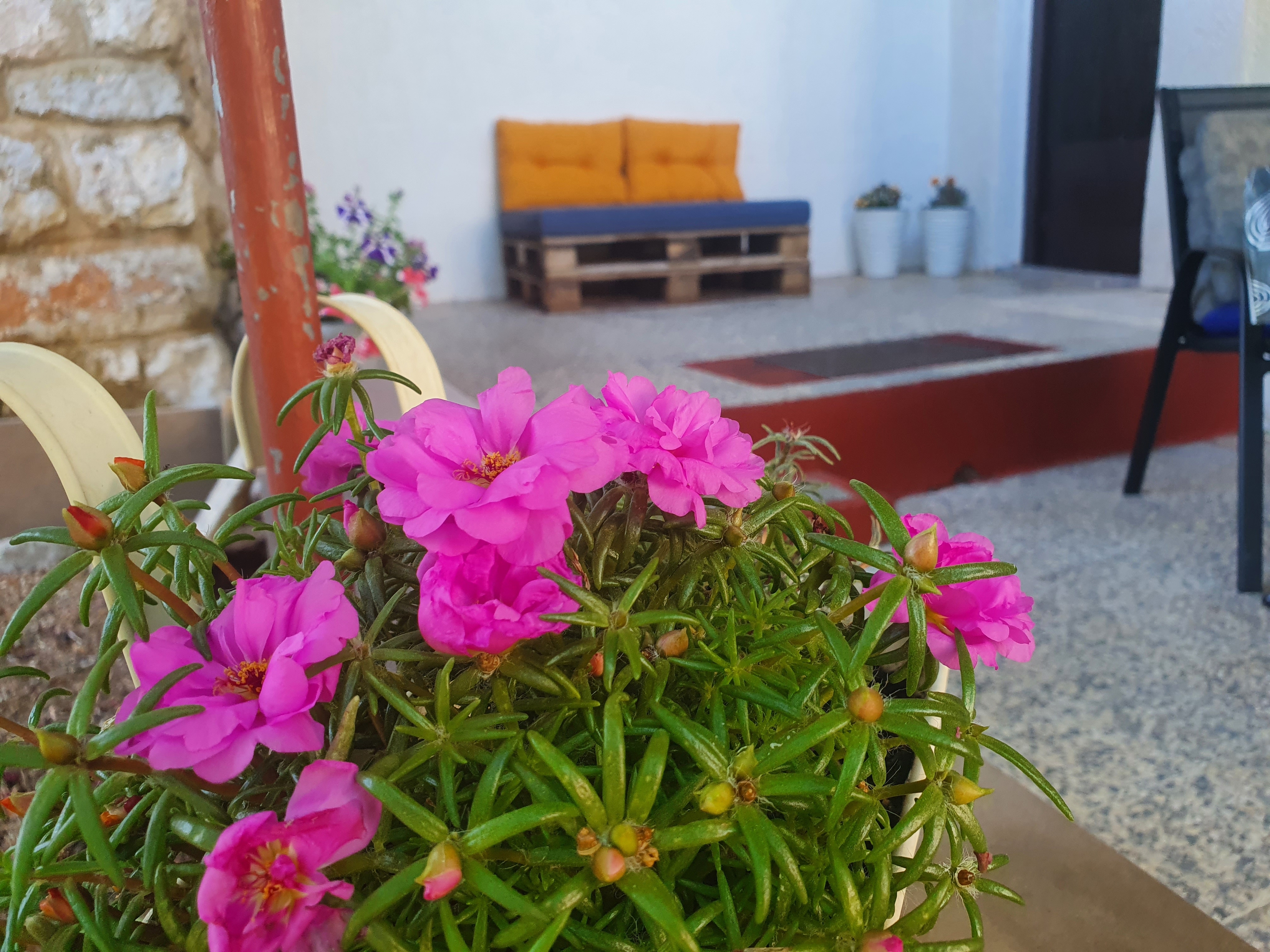 Two bedroom apartment with terrace and sea view Senj  A-a