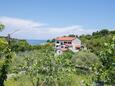 Apartments Veli Lošinj (Lošinj) - 19799