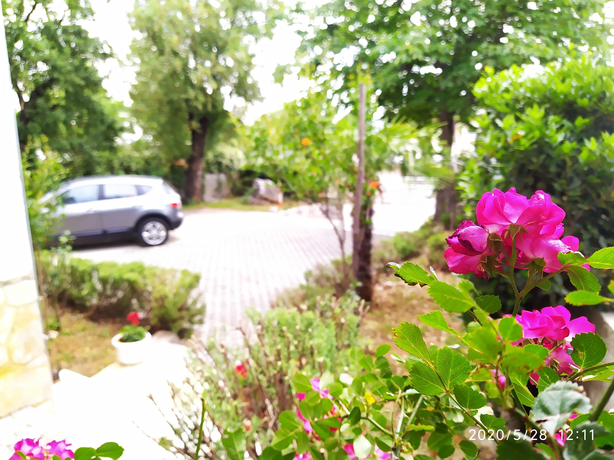 Top Novi Vinodolski Top Novi Vinodolski