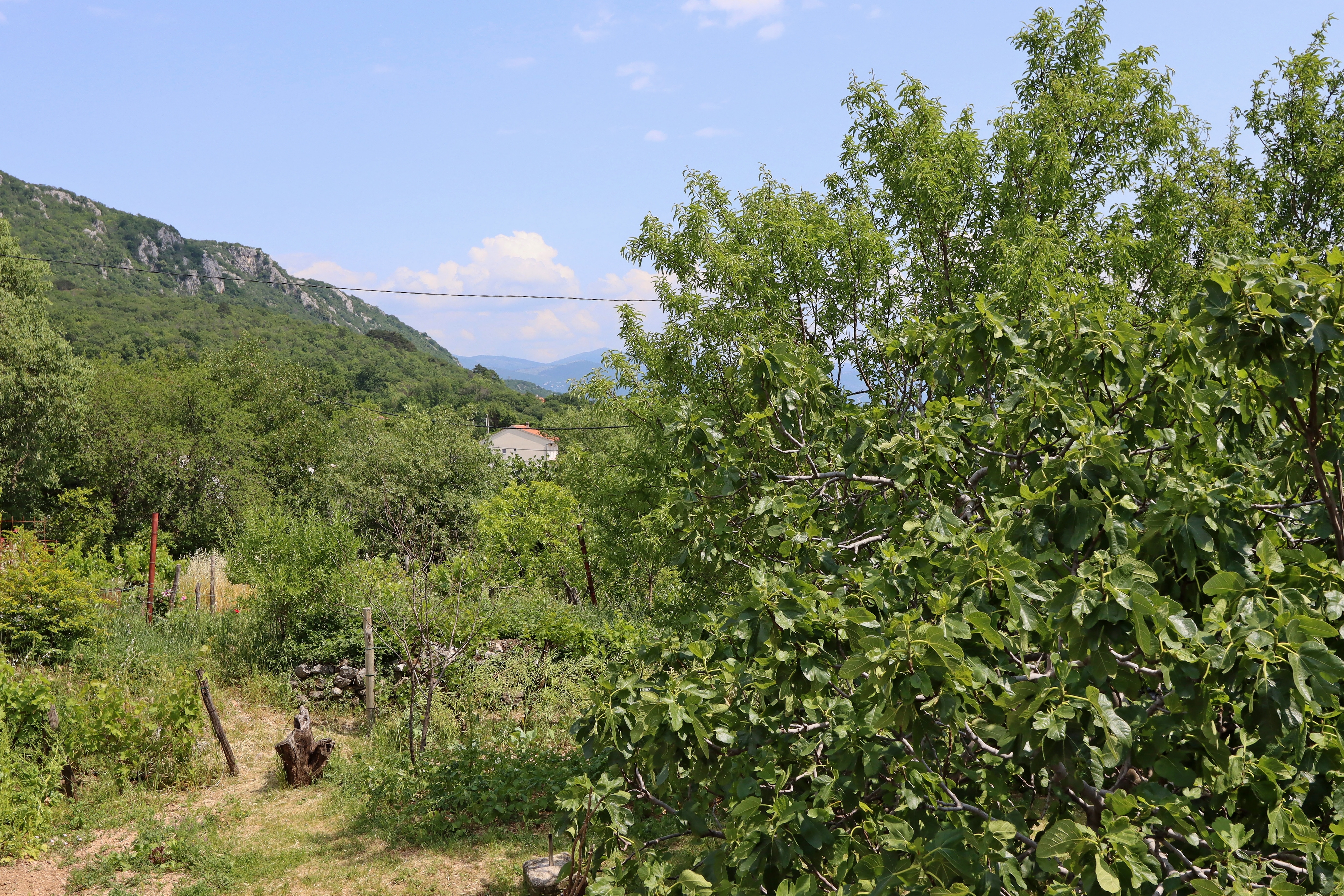 Two bedroom apartment with terrace and sea view Bribir, Novi Vinodolski  A-a