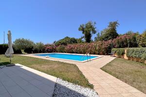 Apartmány s bazénem Novigrad - 19948