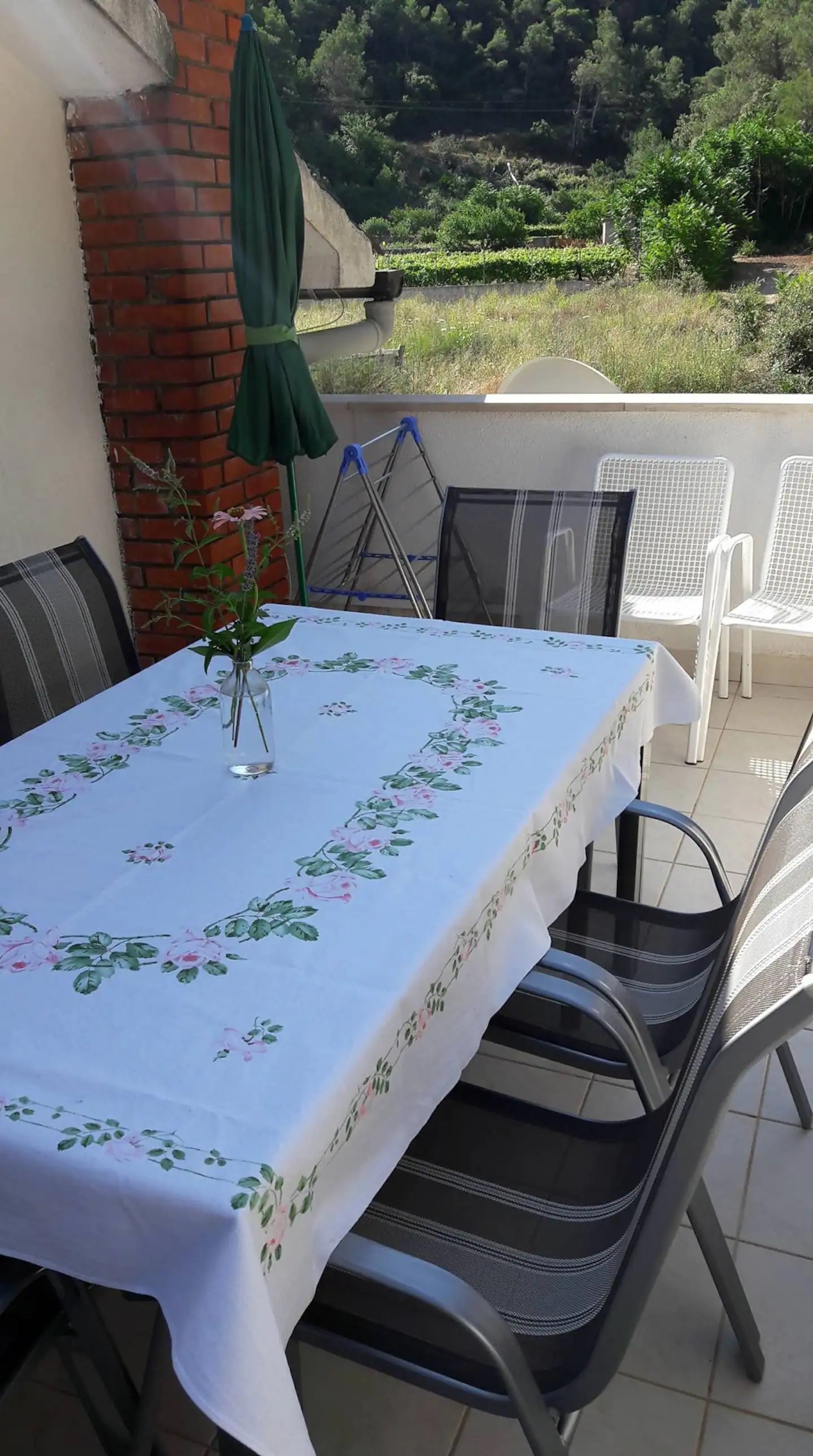 Three bedroom apartment with terrace and sea view Cove Vela Stiniva, Hvar  A-a