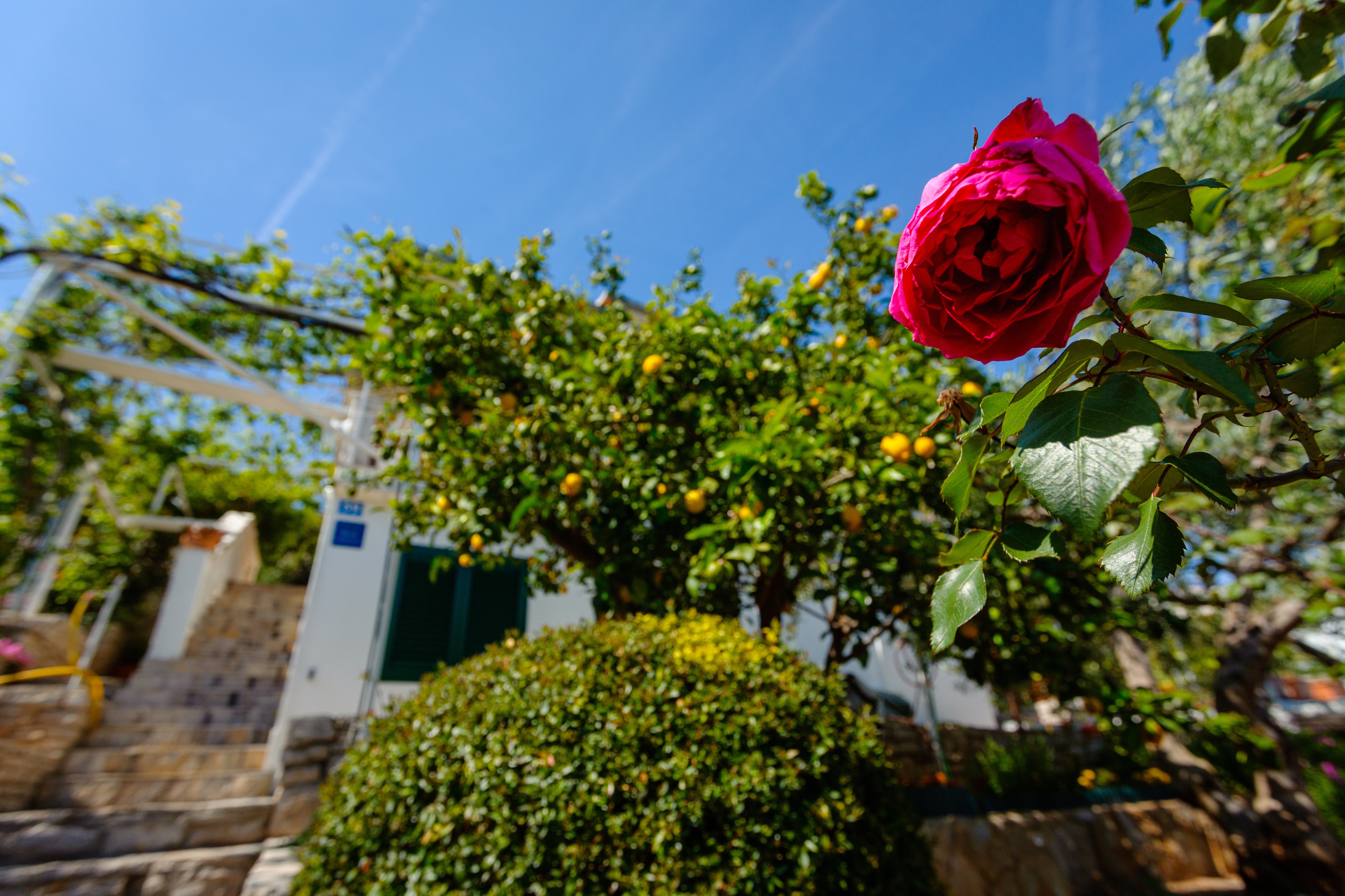 One bedroom apartment with balcony and sea view Cove Gornja Krusica, Šolta (A-20021-b) One bedroom apartment with balcony and sea view Cove Gornja Krusica, Šolta (A-20021-b)