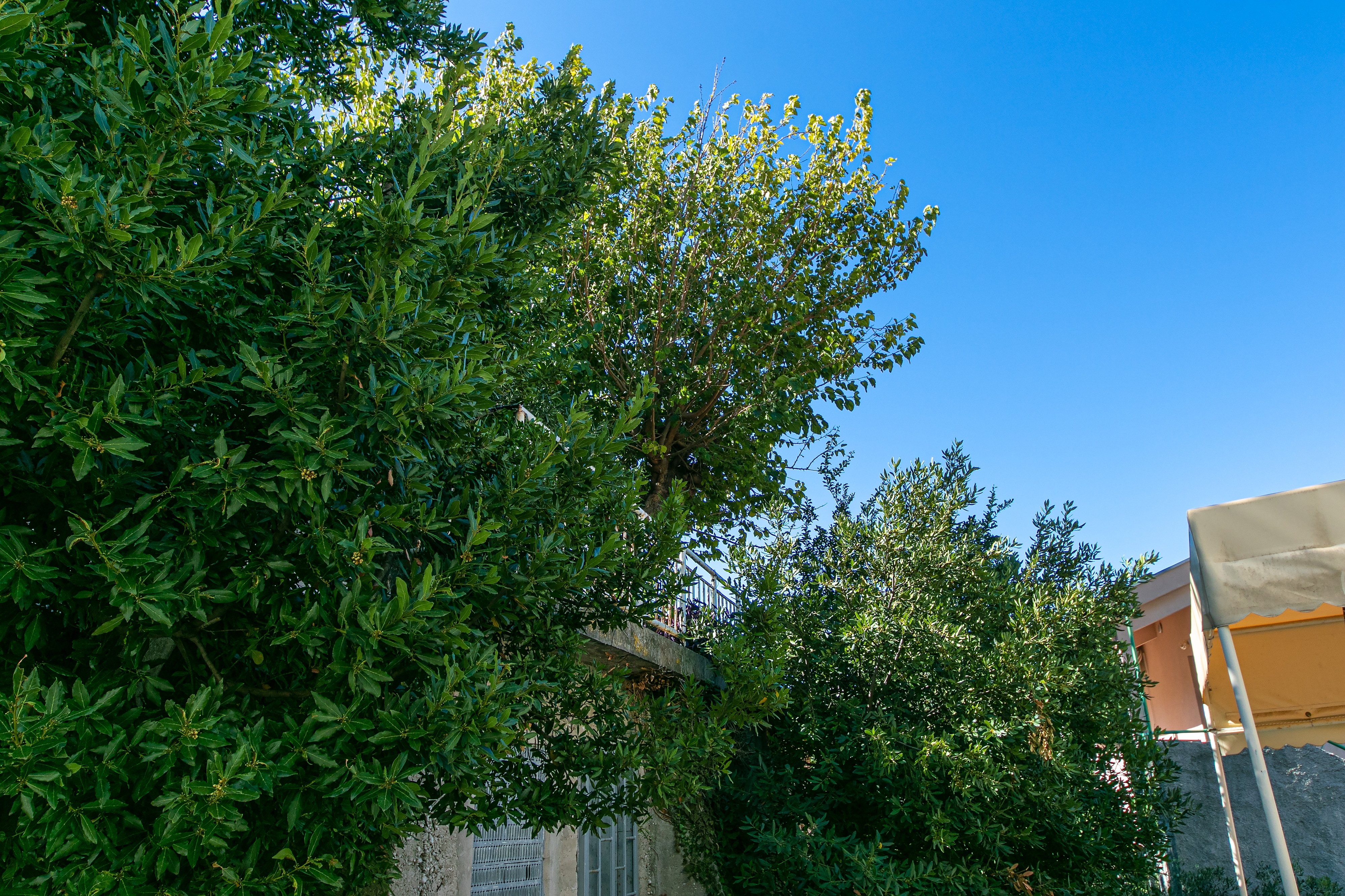 Top Makarska Gradac Top Makarska Gradac