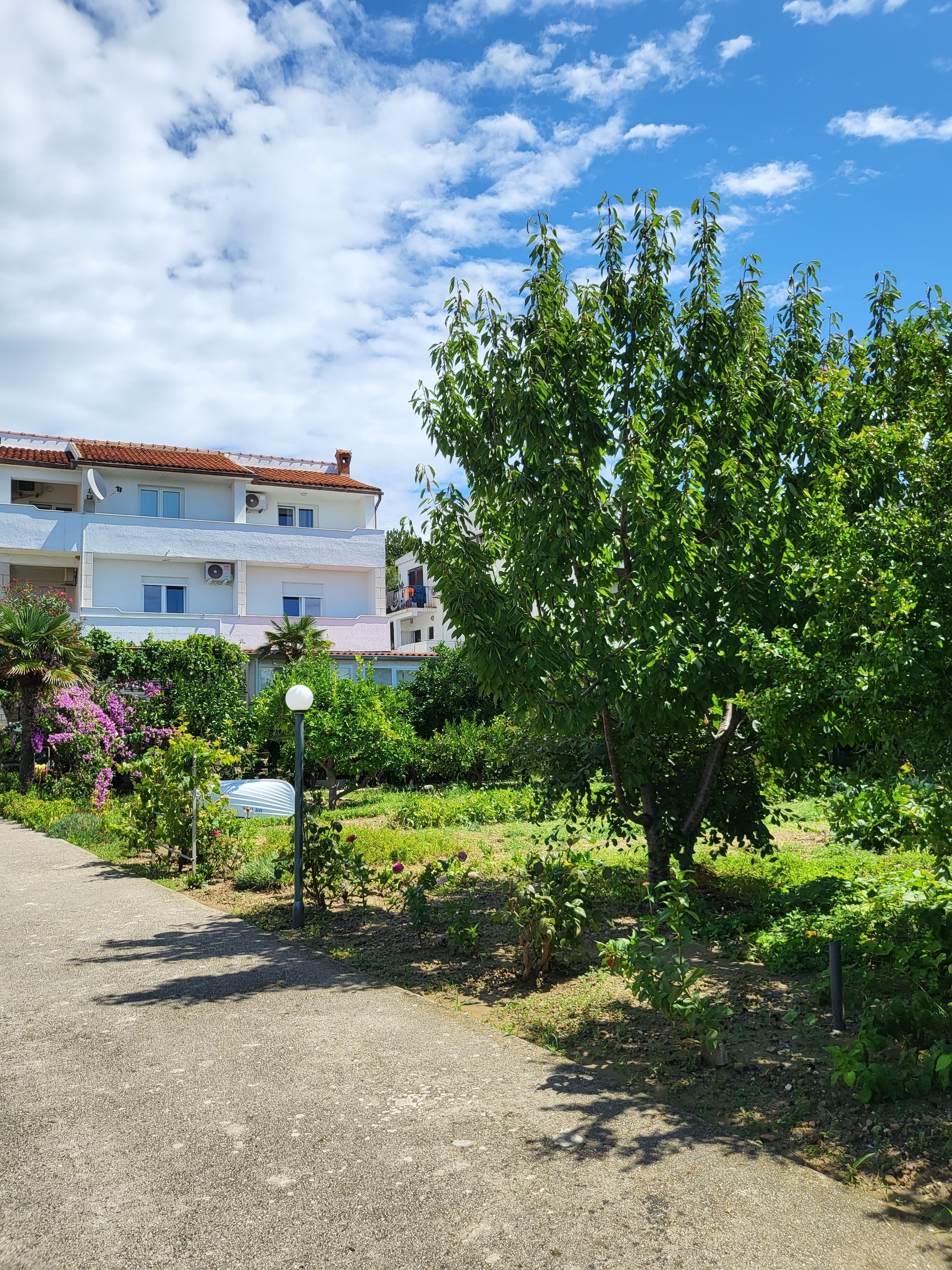 Top Rab Banjol Top Rab Banjol