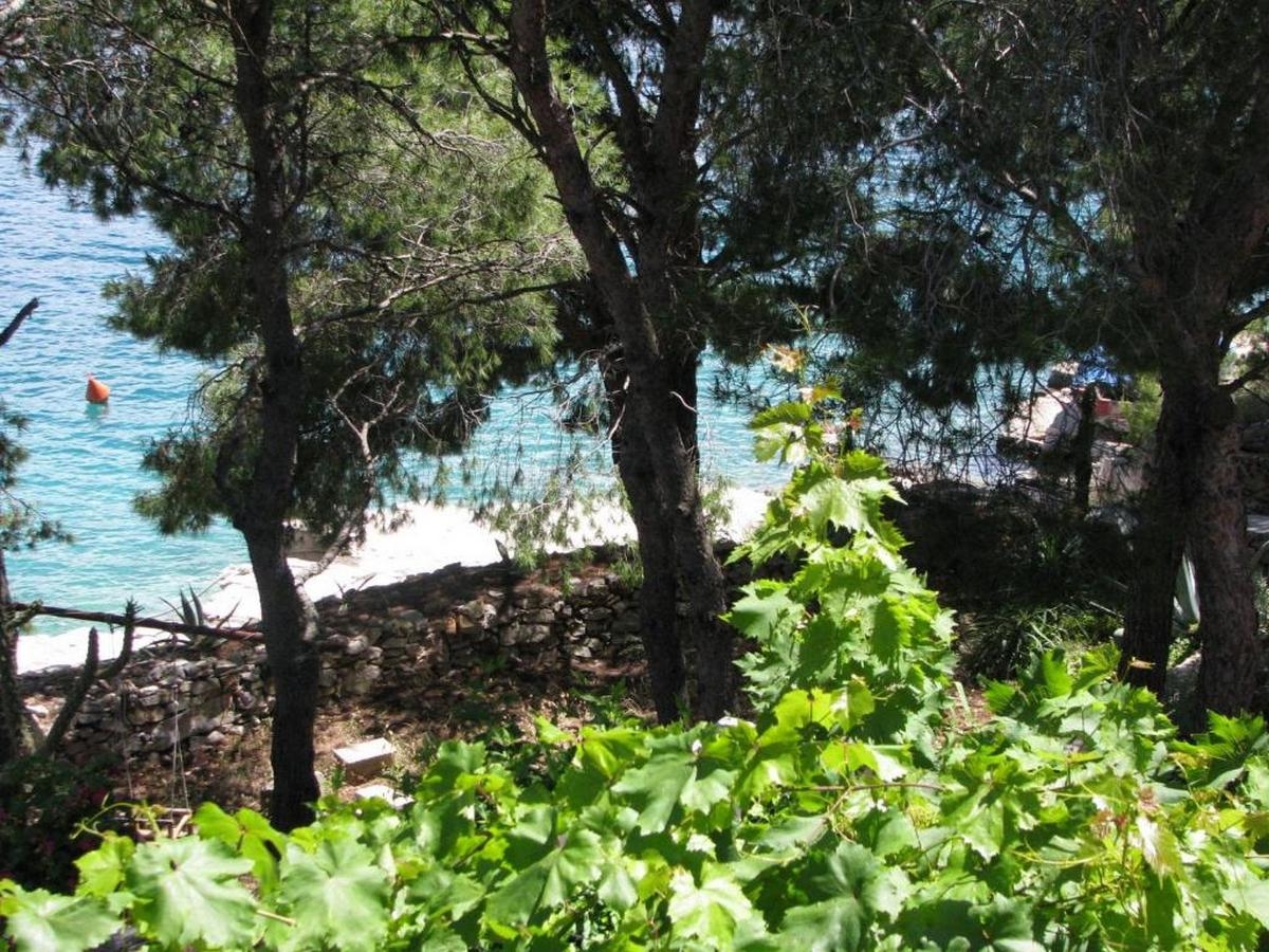 Two bedroom apartment near beach Cove Osibova, Brač  A-a