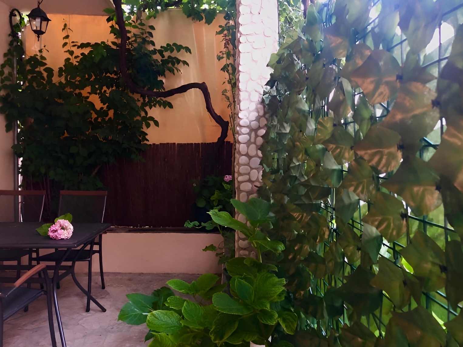 Top Pelješac Žuljana Top Pelješac Žuljana