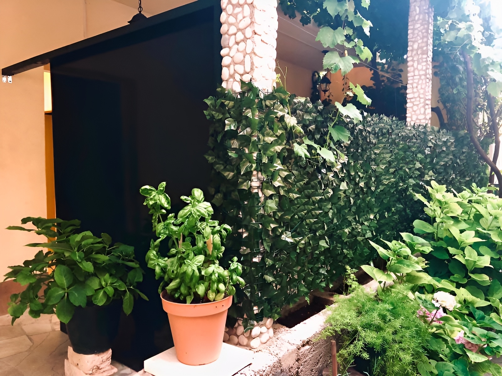 Top Pelješac Žuljana Top Pelješac Žuljana