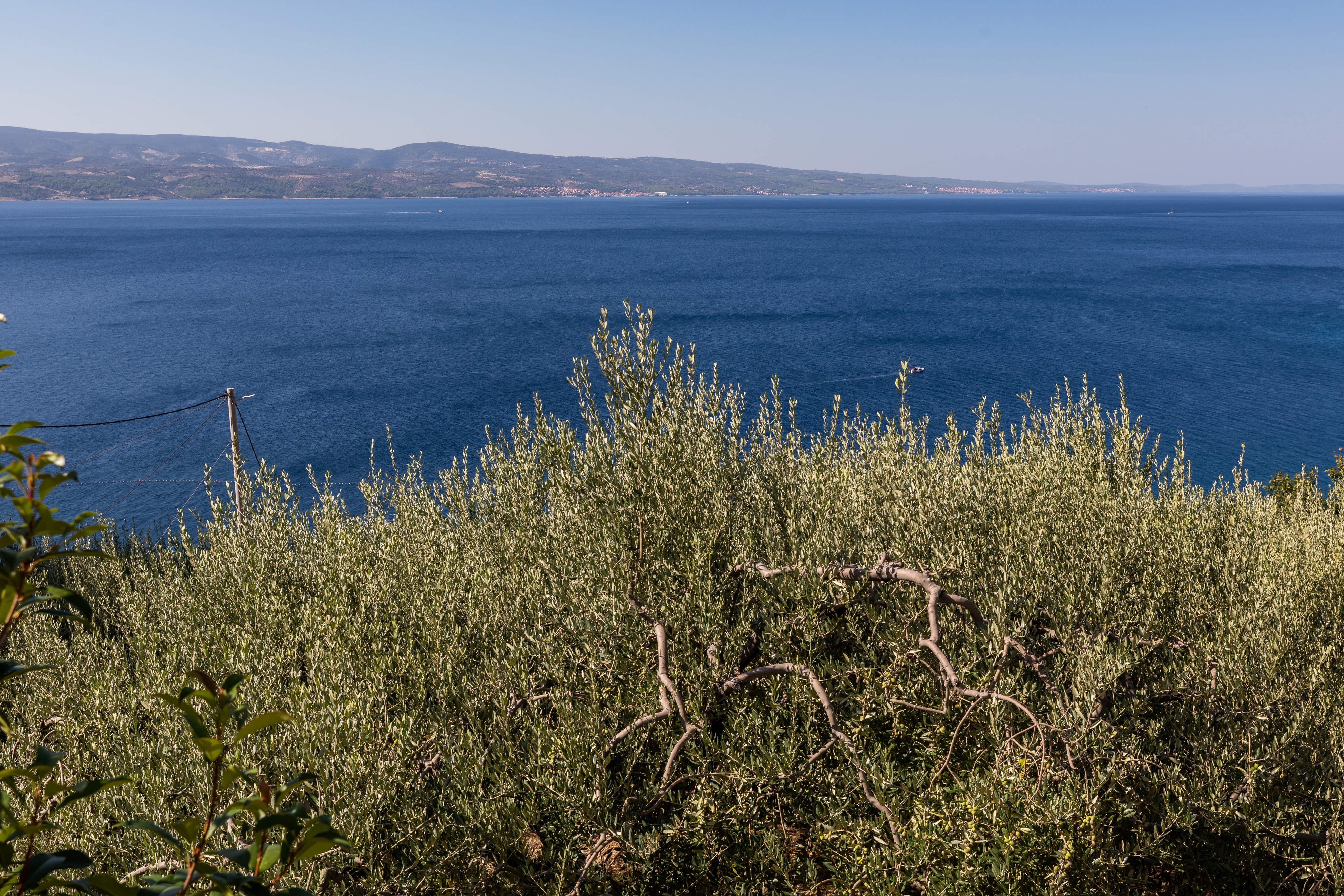 One bedroom apartment with terrace and sea view Stanići, Omiš  A-a