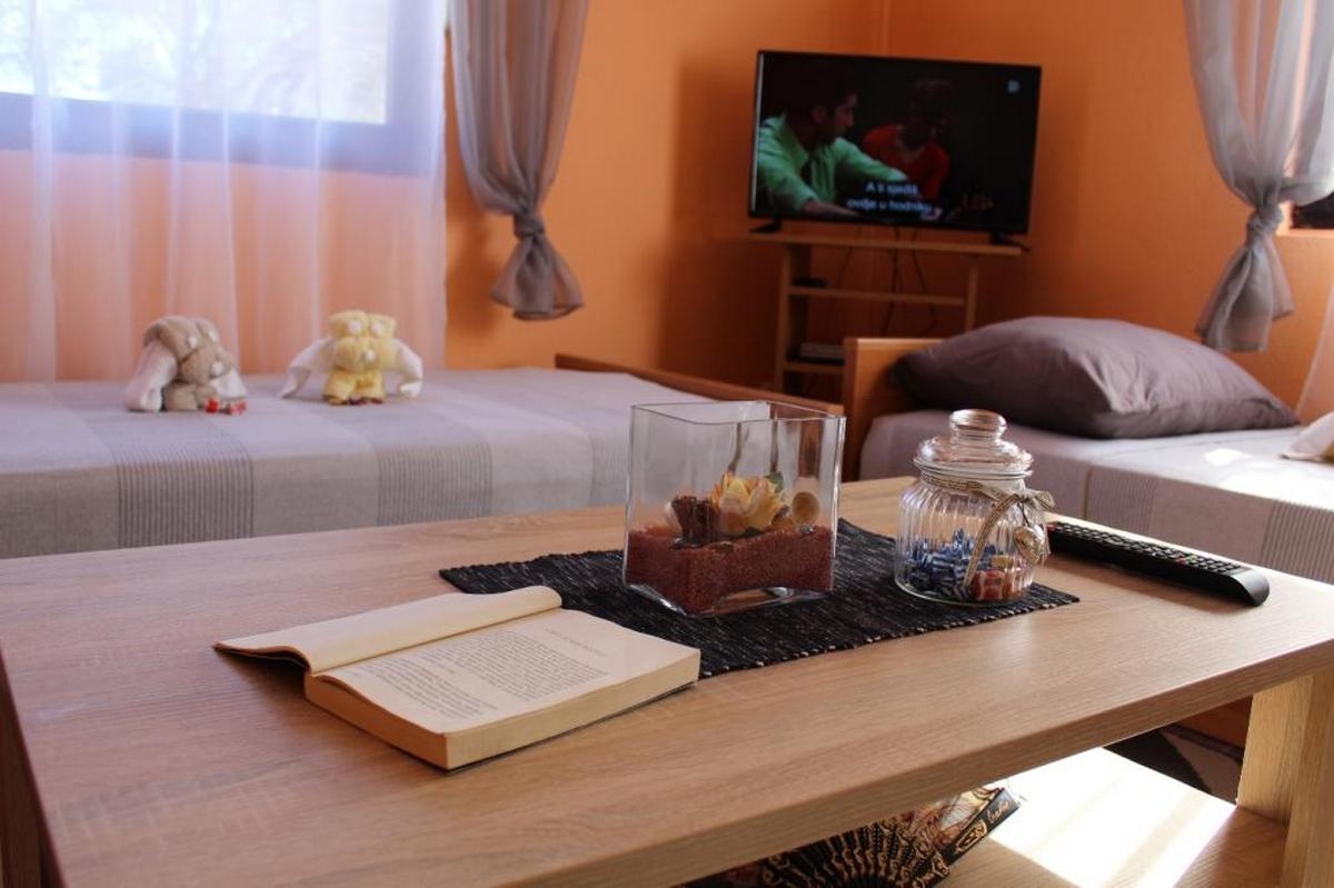 One bedroom apartment with terrace Vir (A-20163-a)