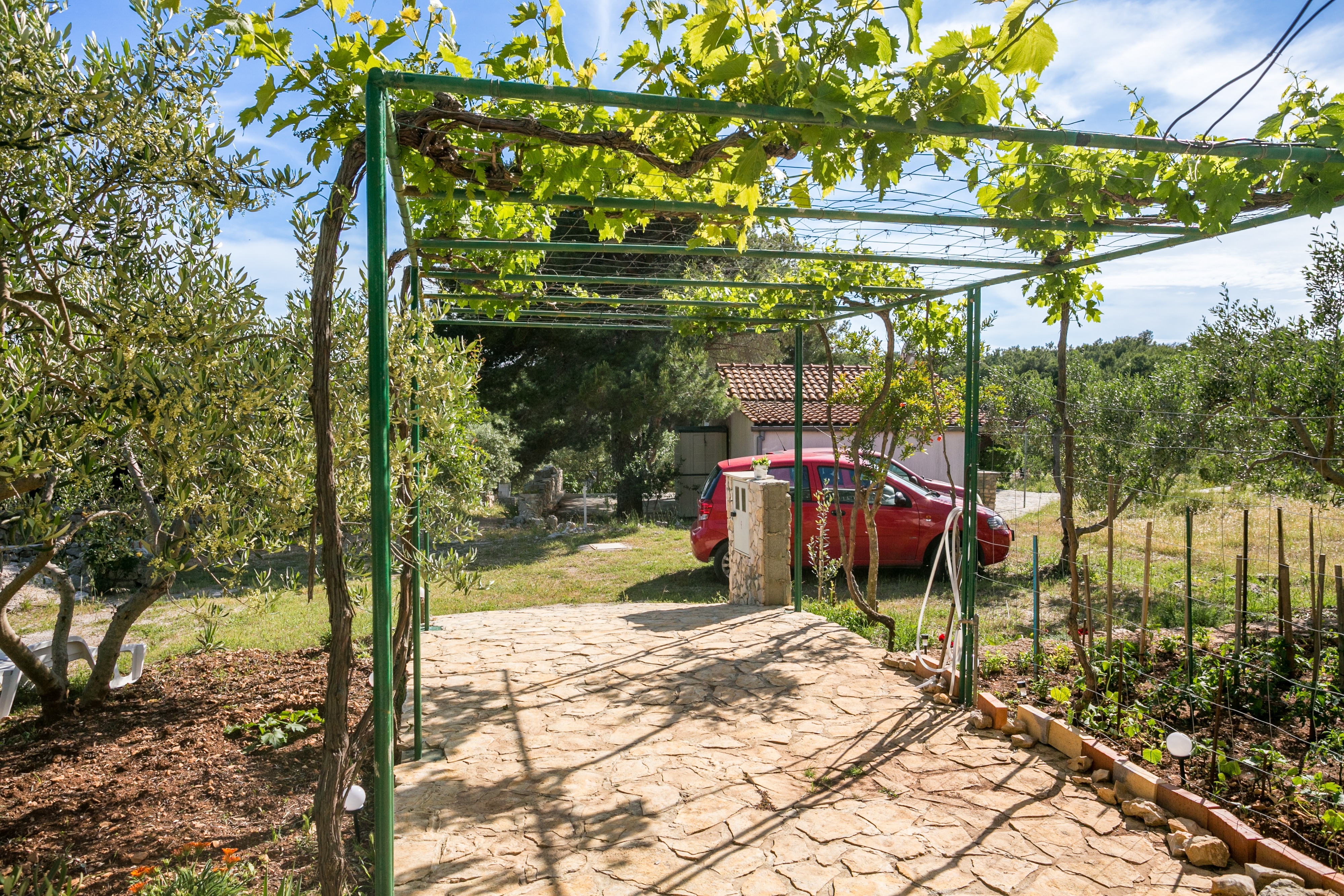 Top Brač Smrčeva Top Brač Smrčeva