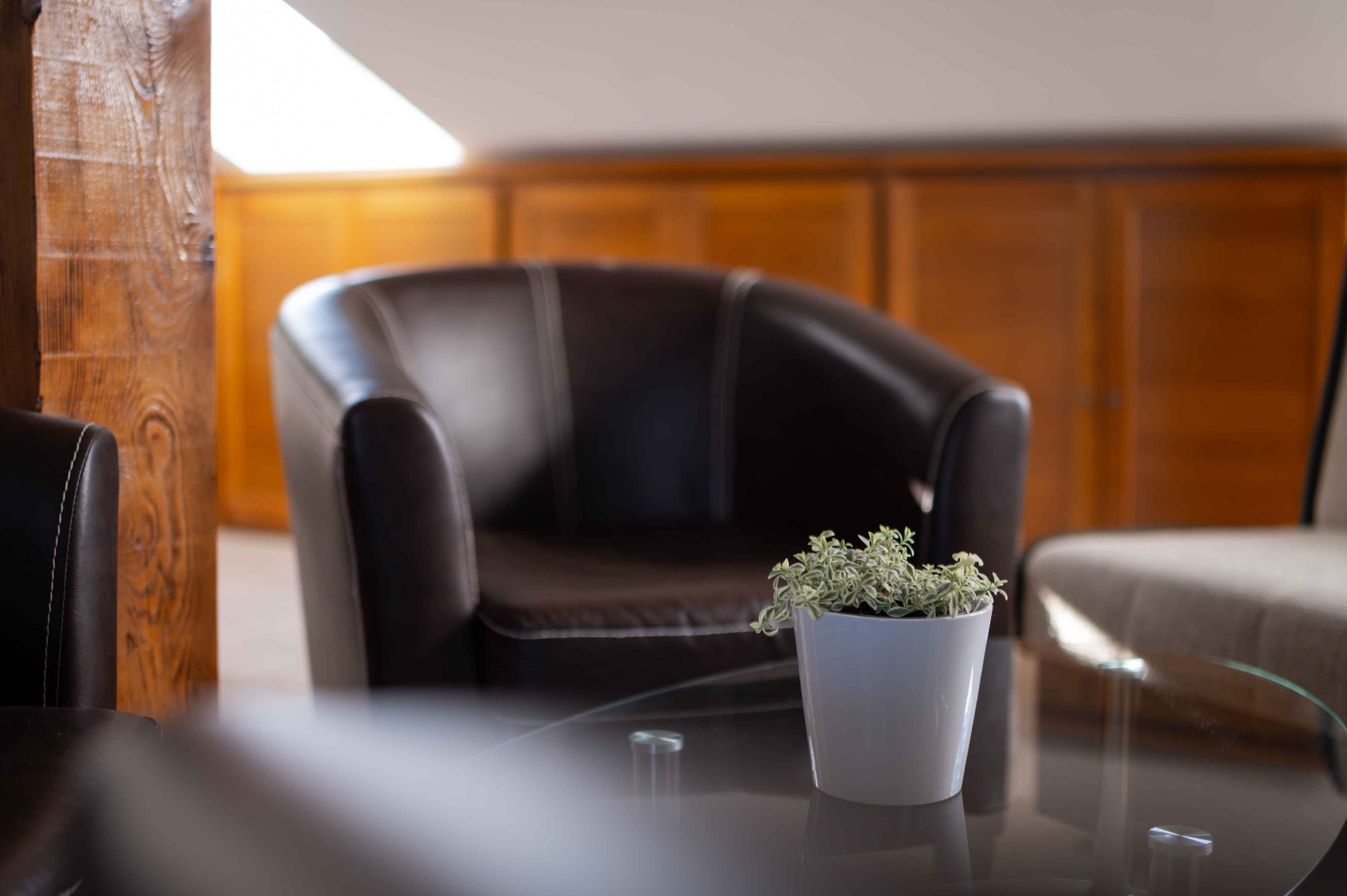 Studio flat near beach Preko, Ugljan (AS-20210-a)