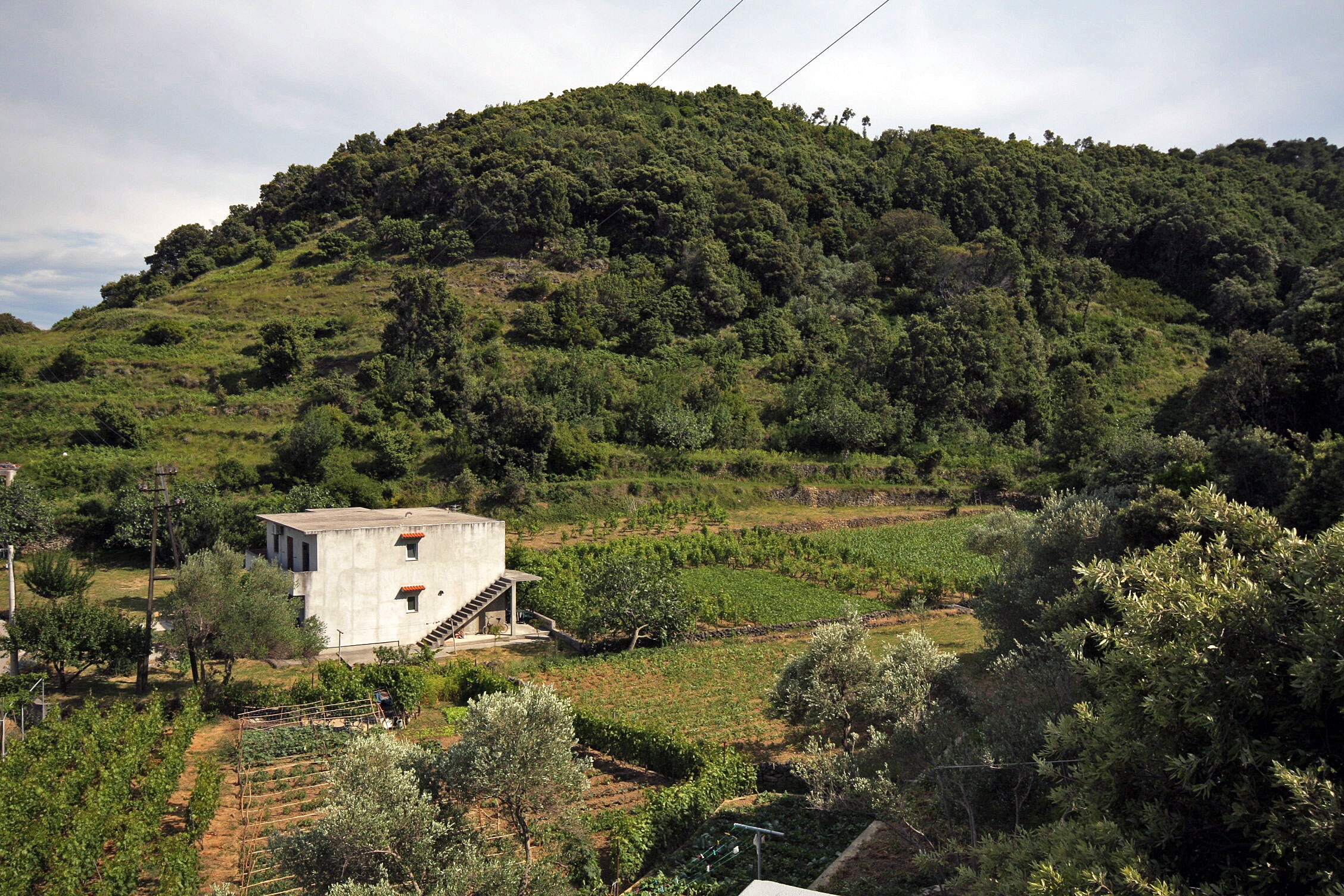 Top Rab Supetarska Draga - Donja Top Rab Supetarska Draga - Donja