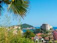 Dubrovnik, Shared terrace - view in the apartment, WiFi.