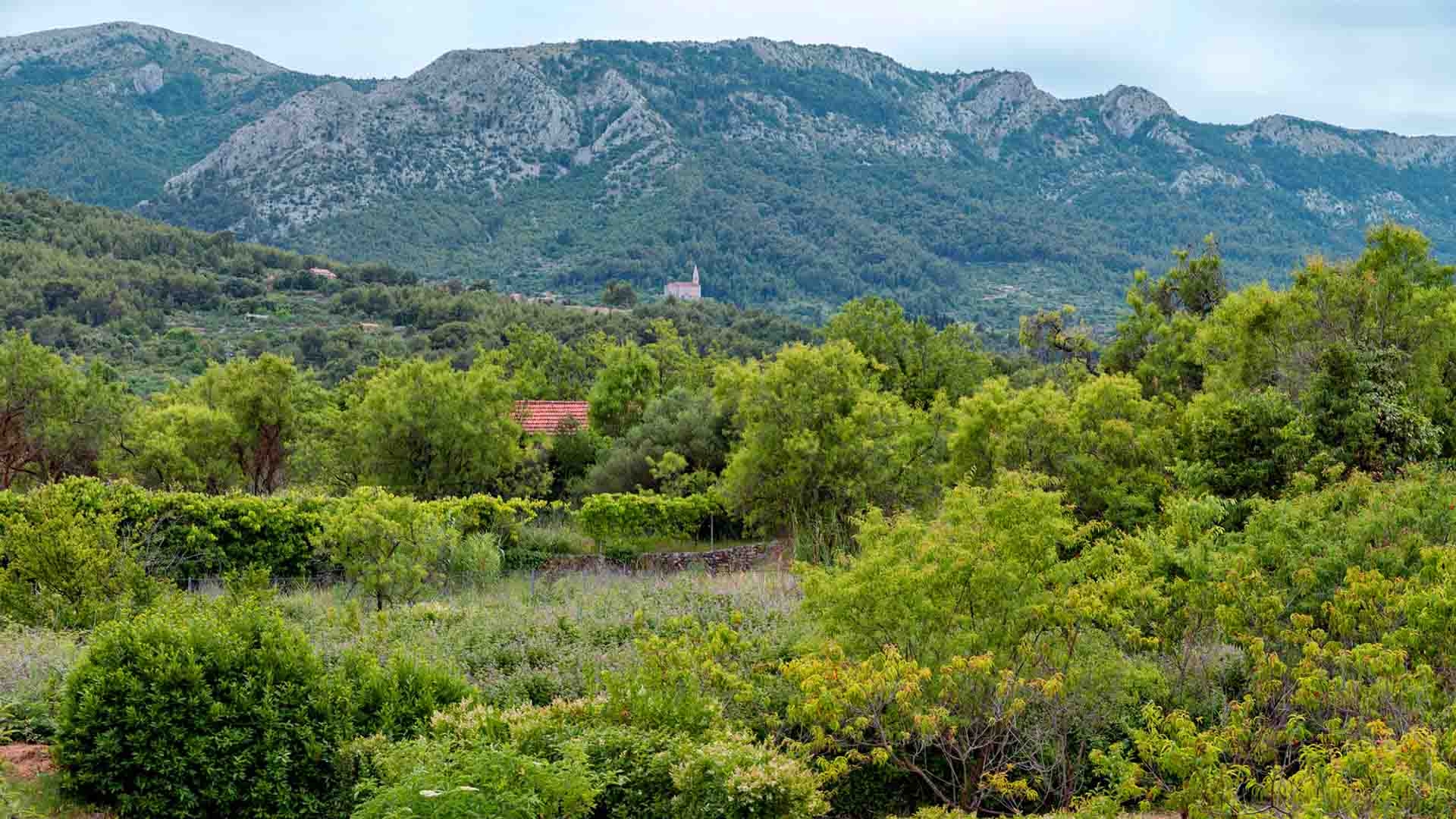 Three bedroom house with terrace Jelsa, Hvar  K