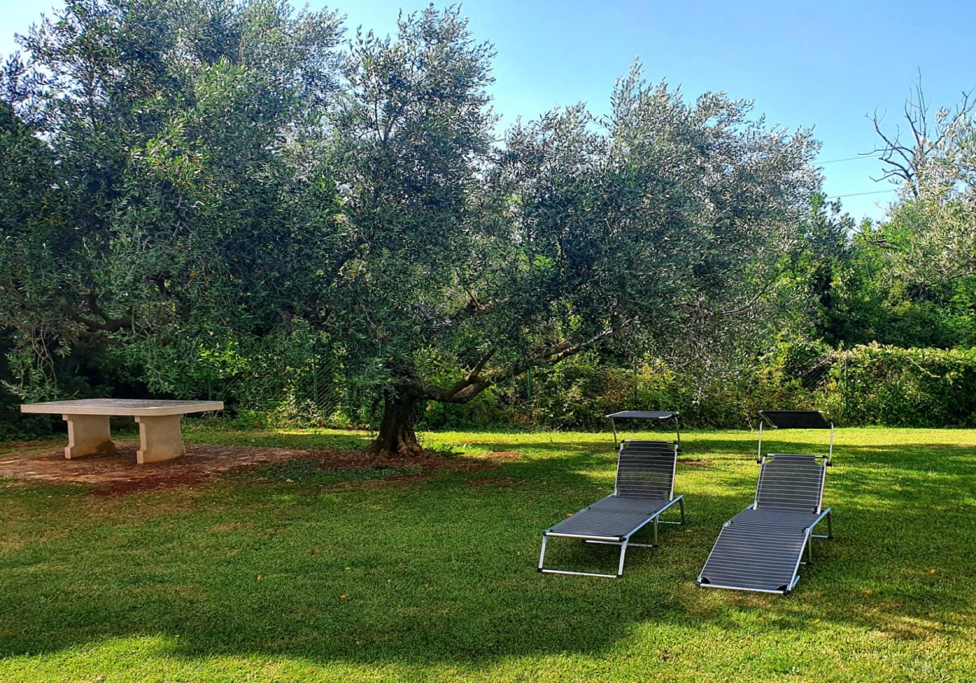 One bedroom apartment with terrace Zambratija, Umag  A-a