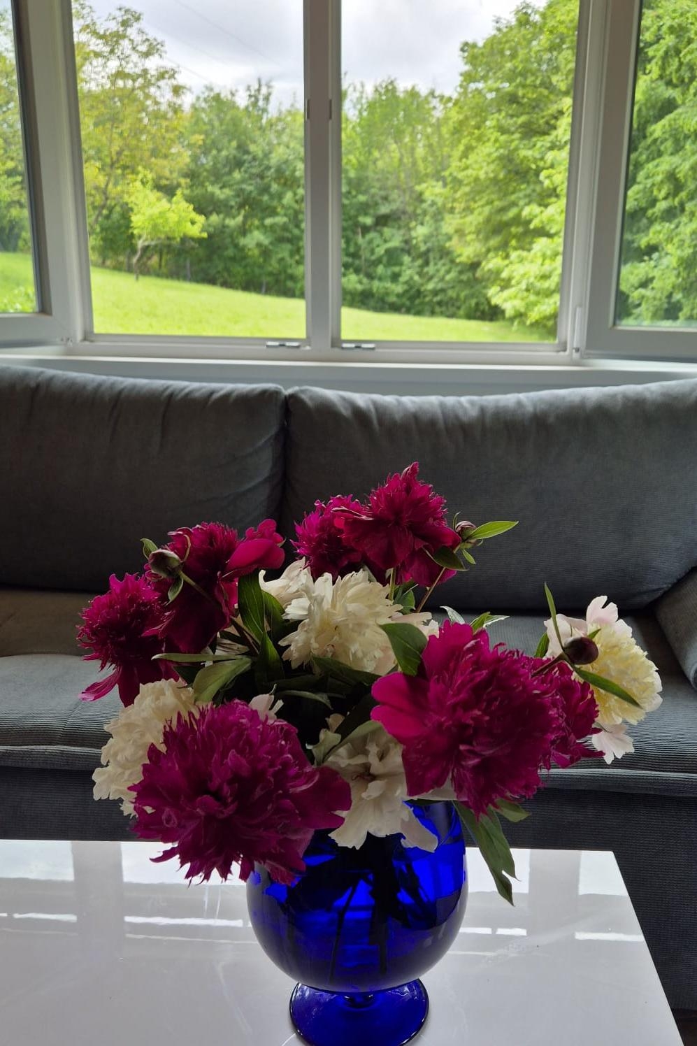 Top Gorski kotar Zdihovo Top Gorski kotar Zdihovo