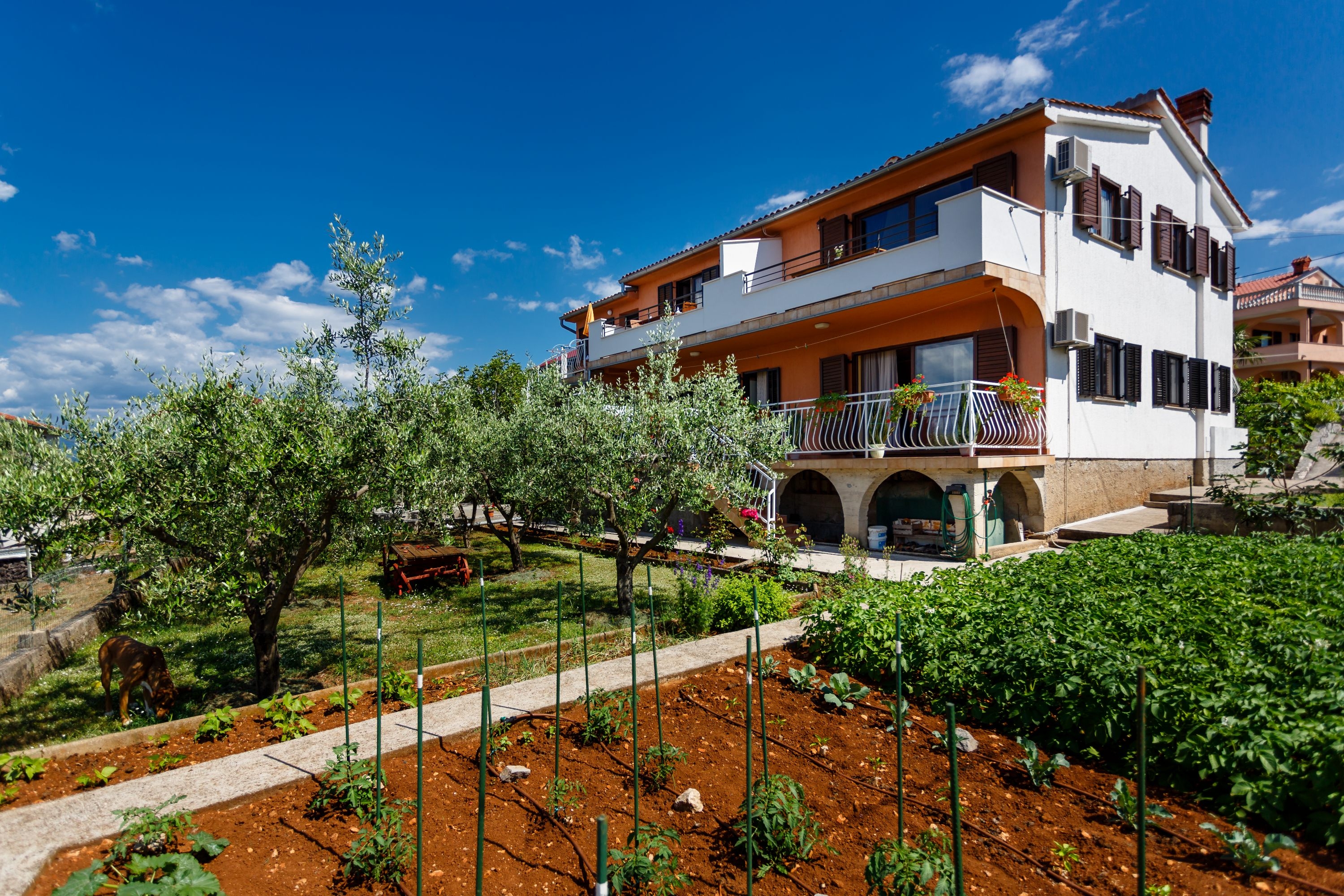 Studio flat with balcony and sea view Njivice, Krk (AS-20505-a) Studio flat with balcony and sea view Njivice, Krk (AS-20505-a)