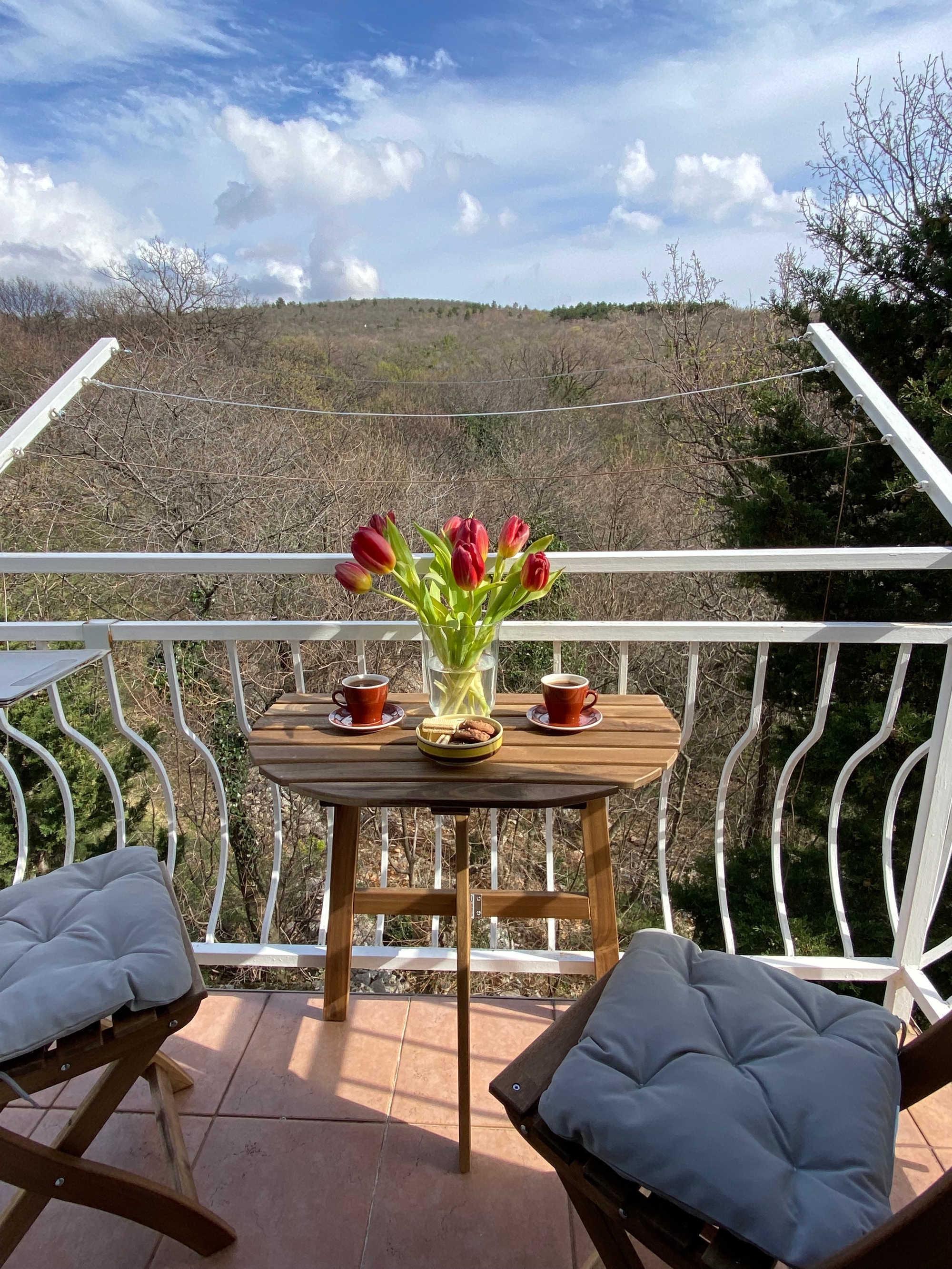 Comfortable and spacious house with terrace Donji Zagon, Novi Vinodolski  K