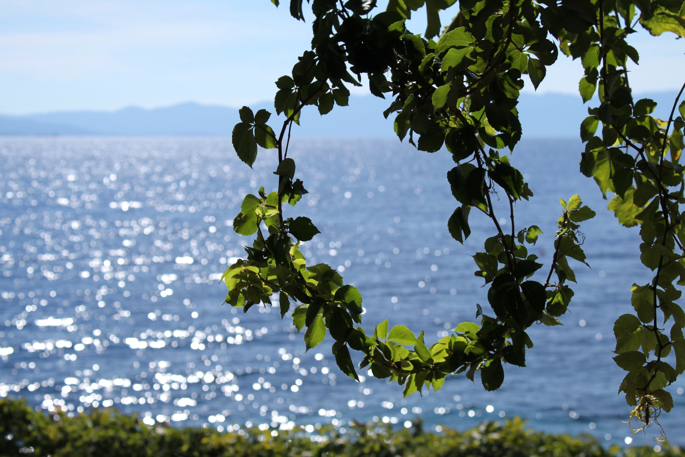Four bedroom house near beach Cove Tvrdni Dolac, Hvar  K