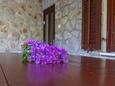 Mali Lošinj, Терраса 1 в размещении типа apartment, Домашние животные допускаются и WiFi.
