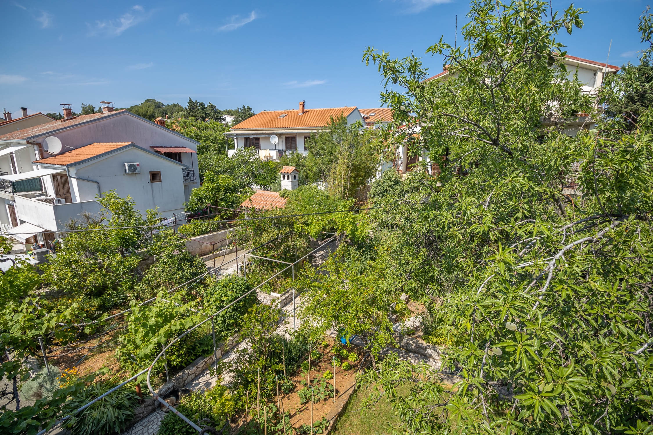Studio flat with terrace Mali Lošinj, Lošinj  AS-b