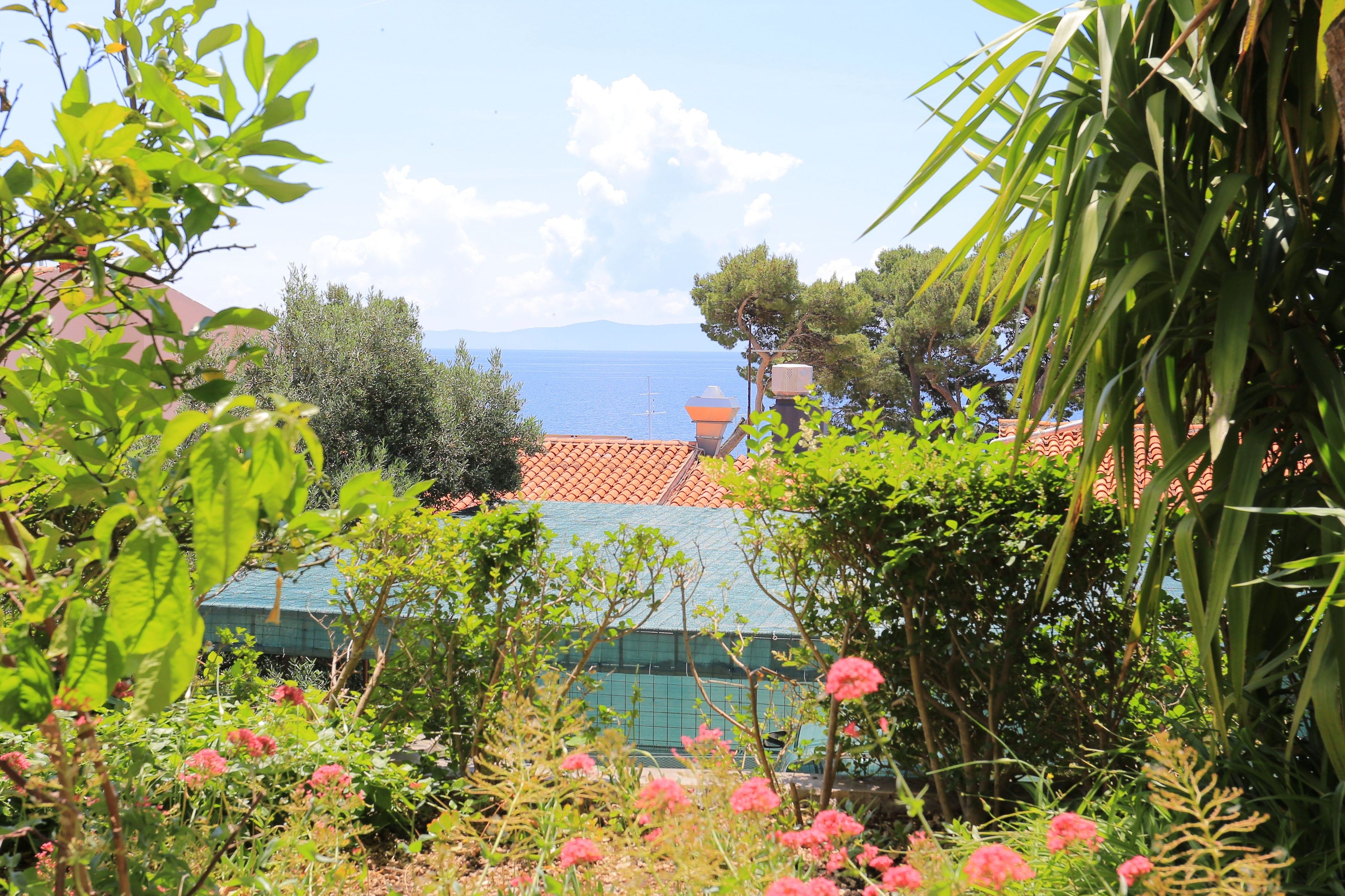 Three bedroom apartment with terrace and sea view Brela, Makarska  A-a
