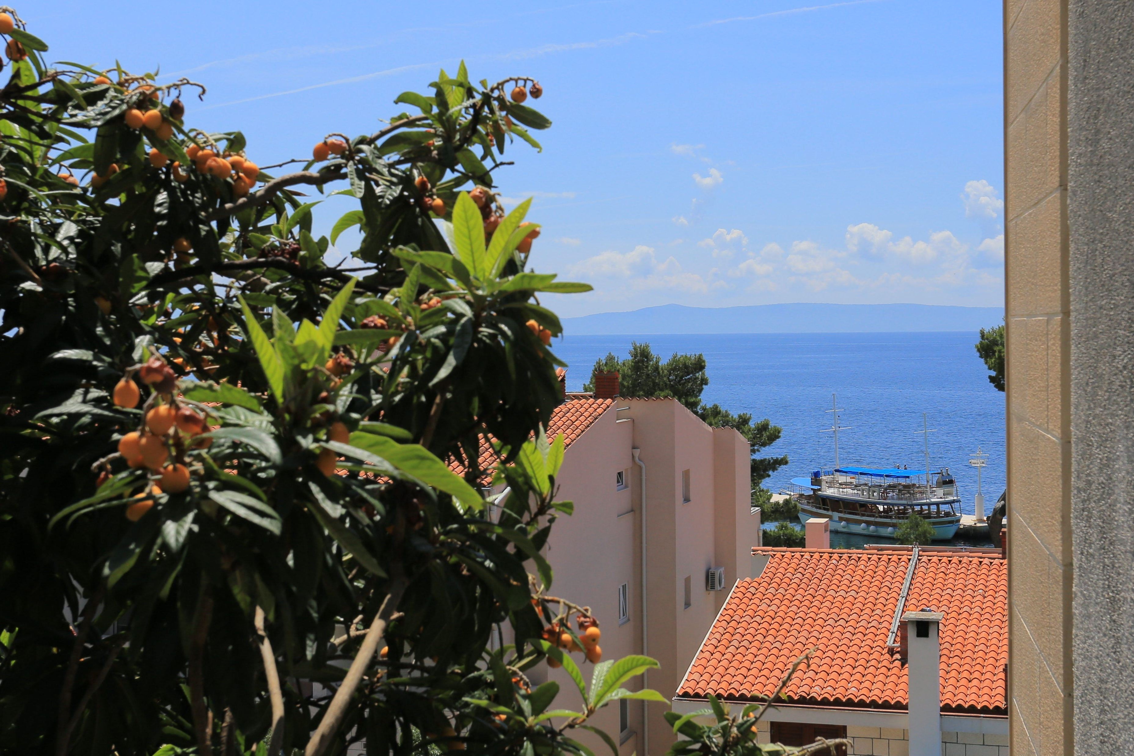 One bedroom apartment with terrace and sea view Brela, Makarska  A-c